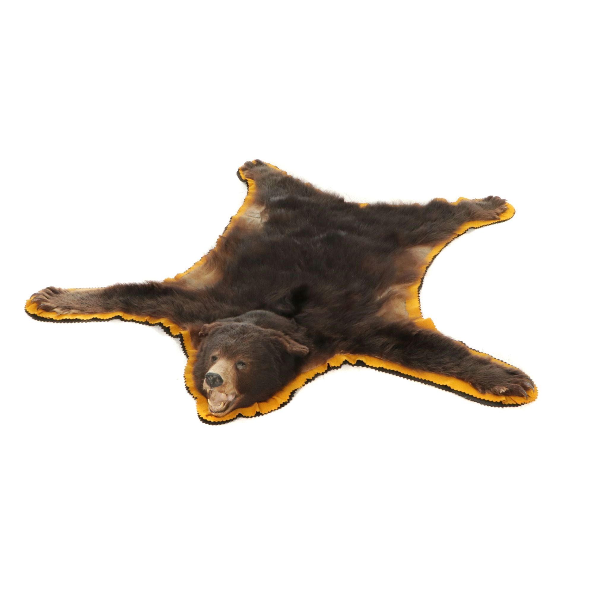 Taxidermy American Black Bear Full Body Rug