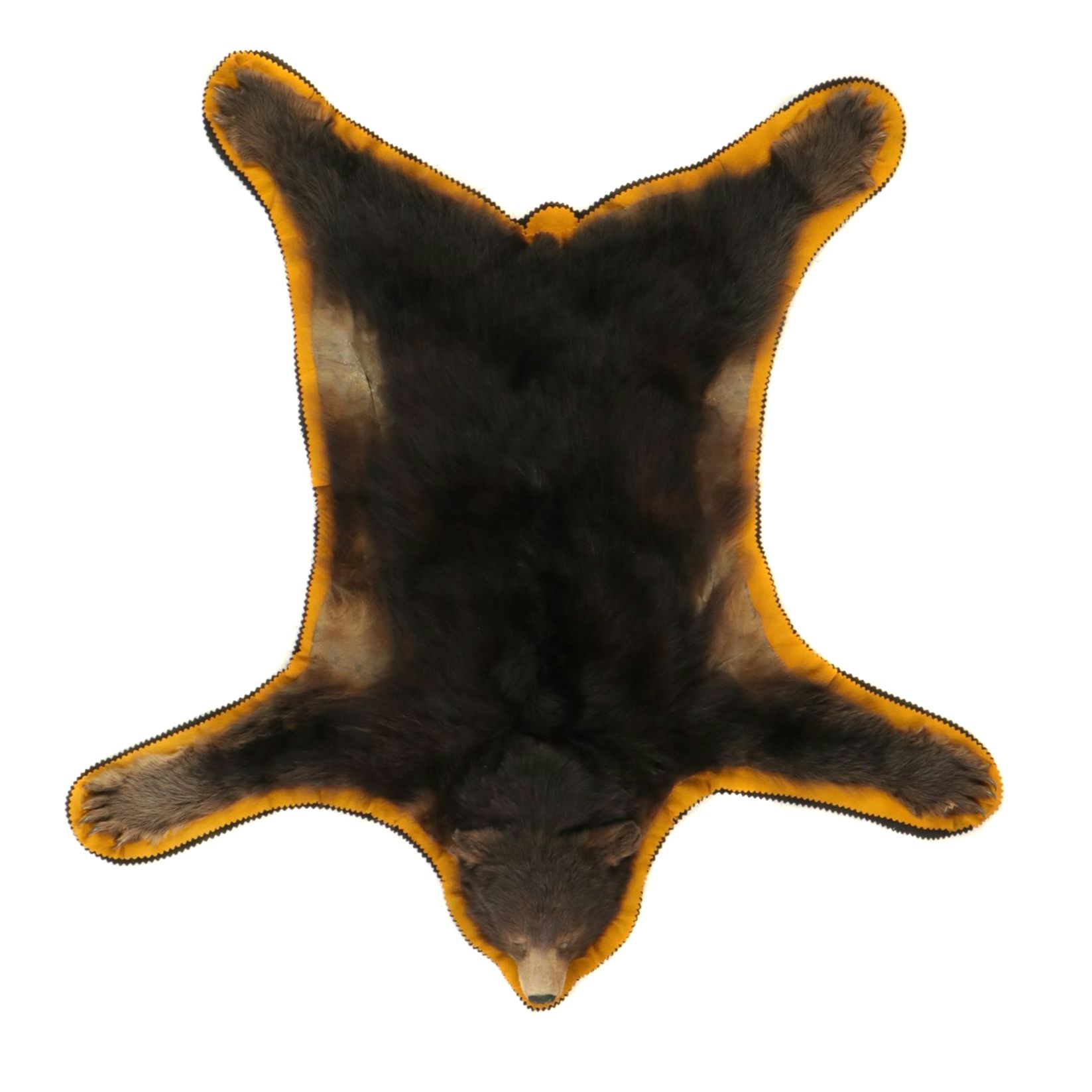 Taxidermy American Black Bear Full Body Rug