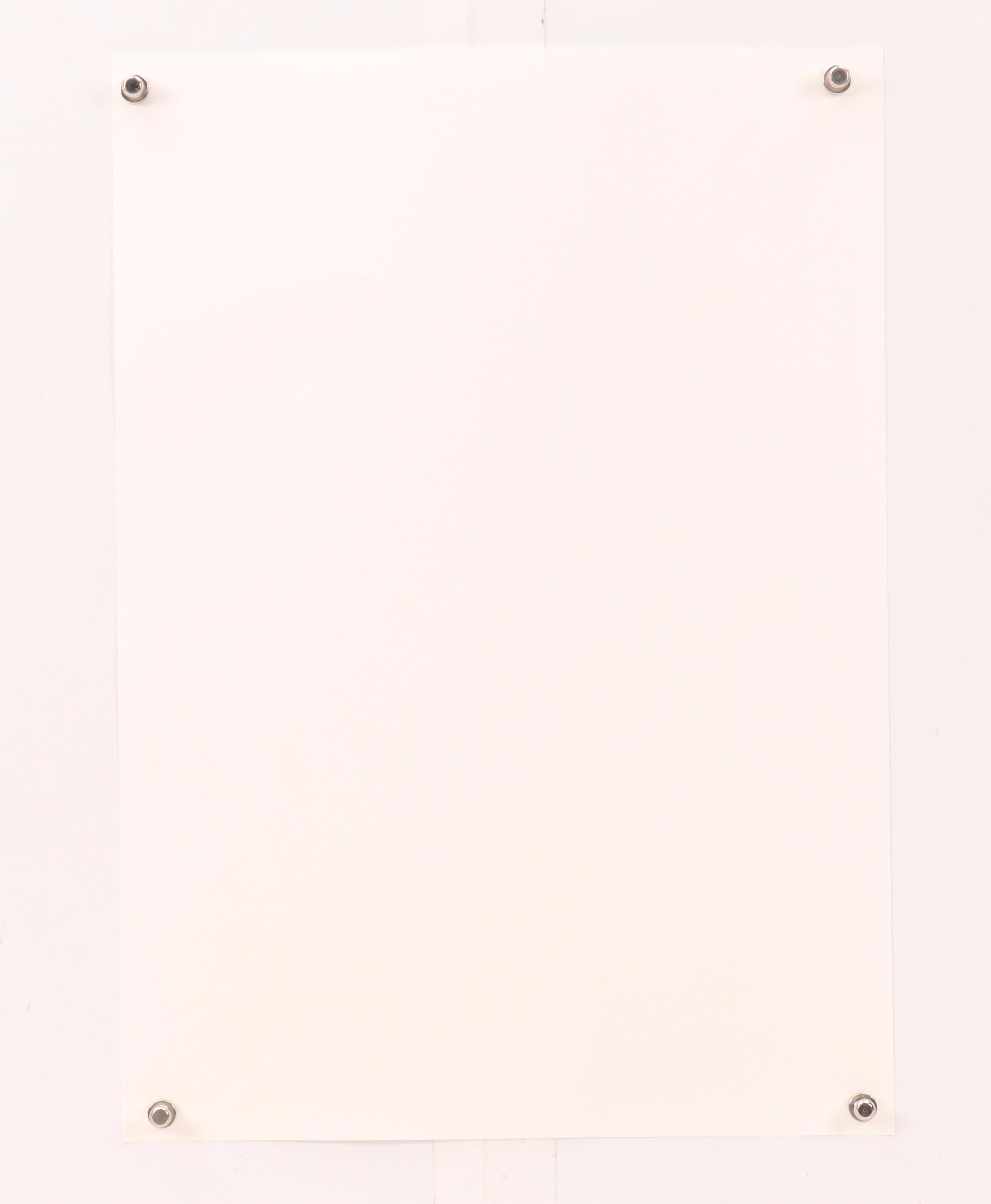 Death NYC Pop Art Graphic Print of Anthropomorphic Peacock in Fur Coat, 2024