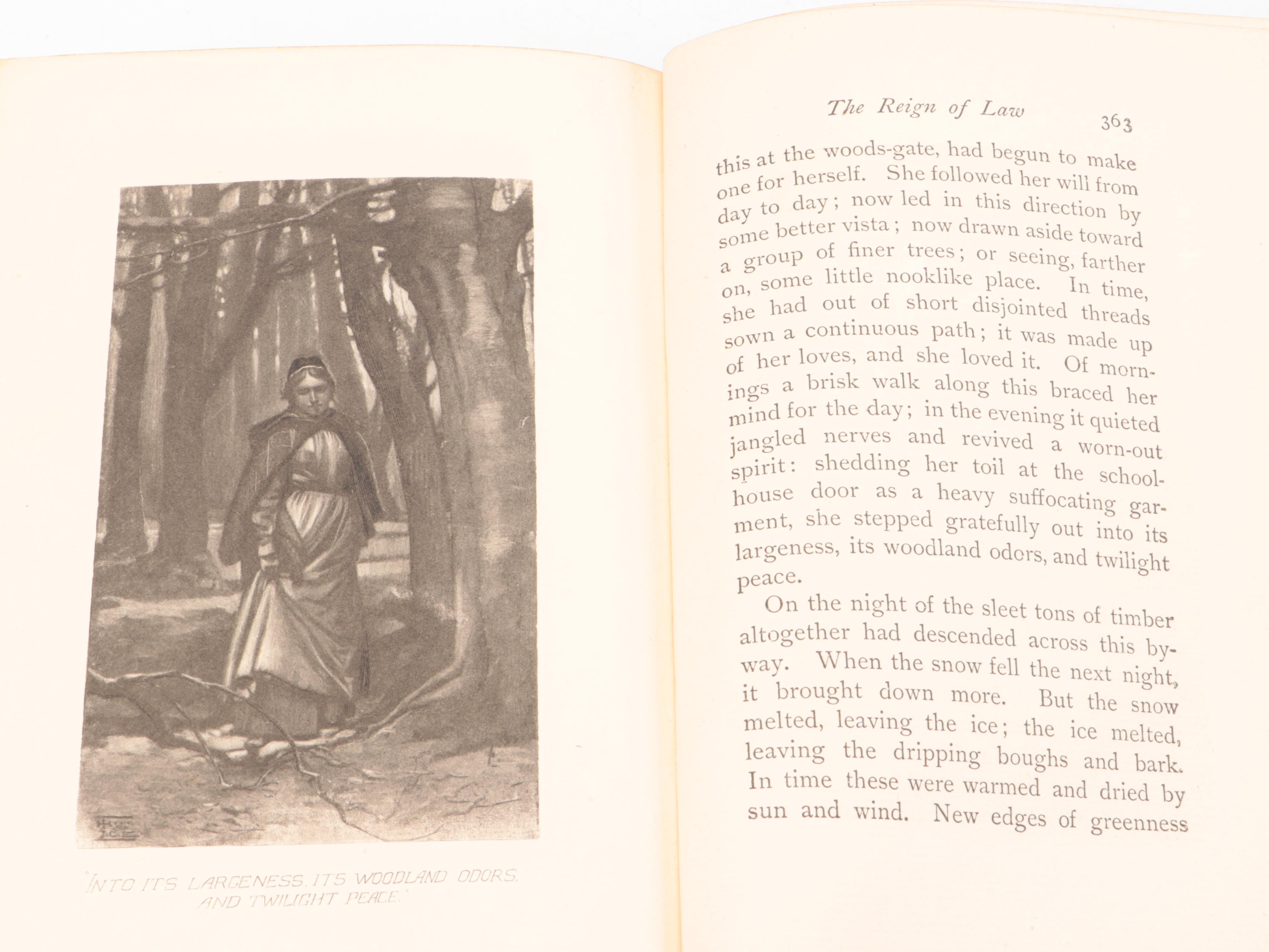 First Edition "The Reign of Law" by James Lane Allen, 1900