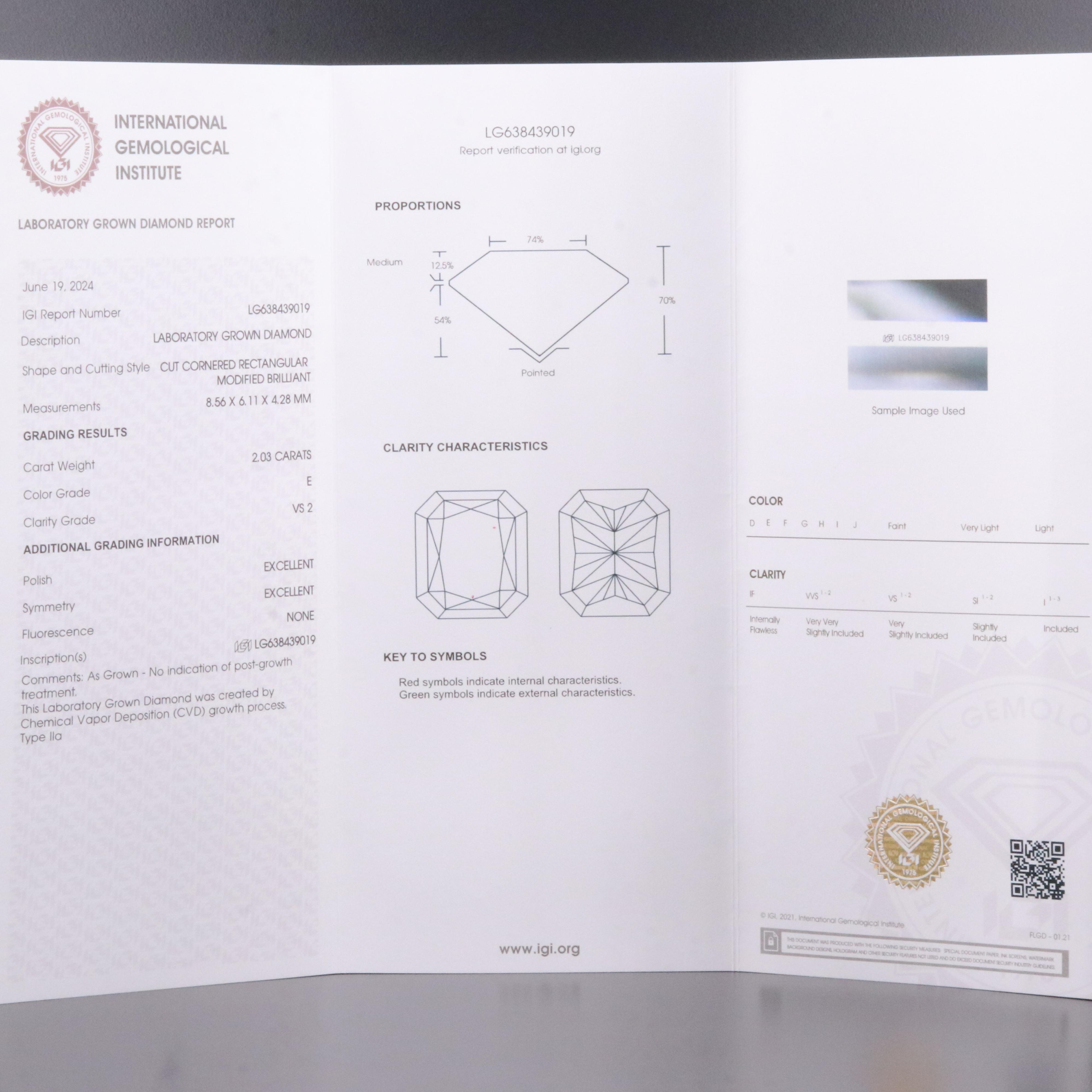 14K 4.06 CTW Lab Grown Diamond Stud Earrings with IGI Reports