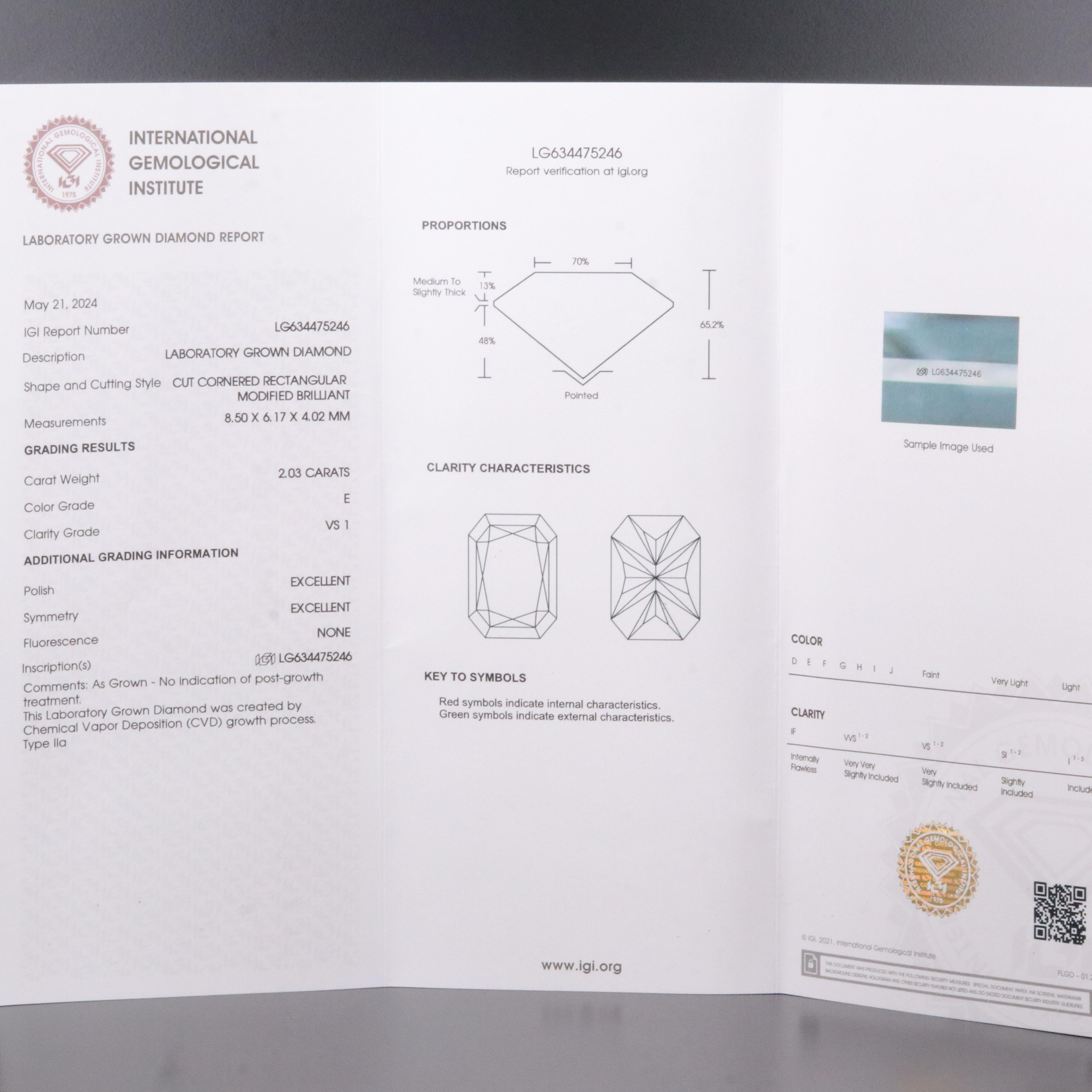 14K 4.06 CTW Lab Grown Diamond Stud Earrings with IGI Reports