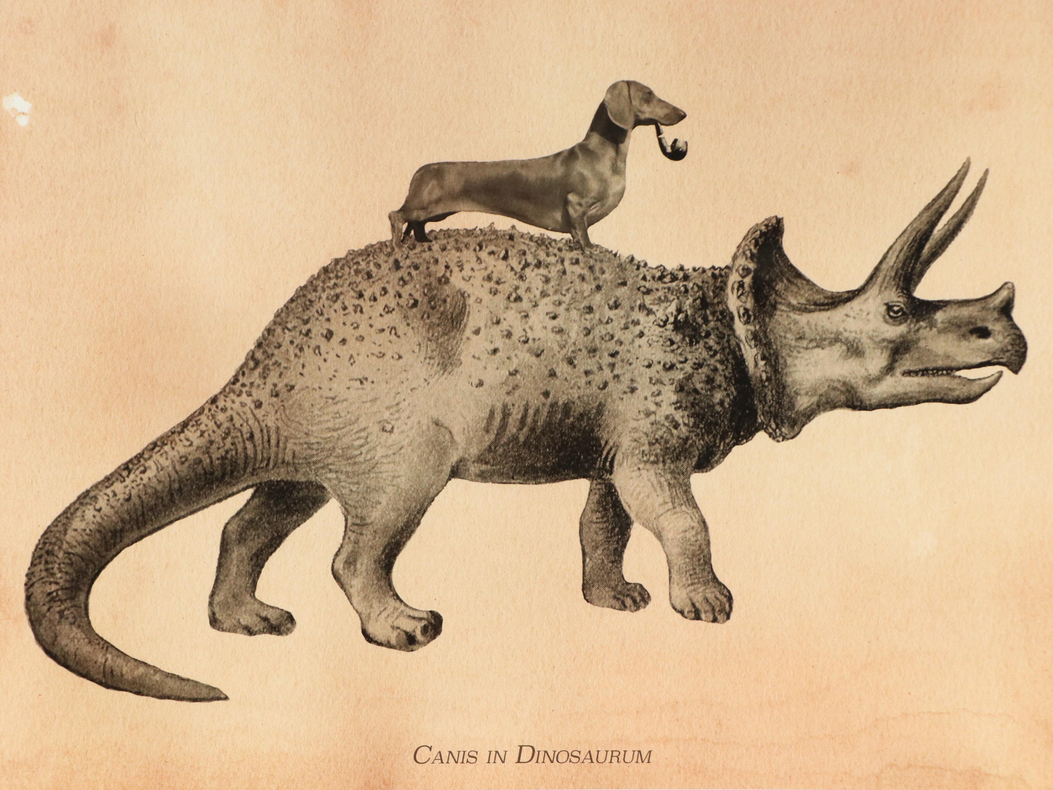 Giclée of Dachshund with Pipe Riding Triceratops "Canis in Dinosaurum"