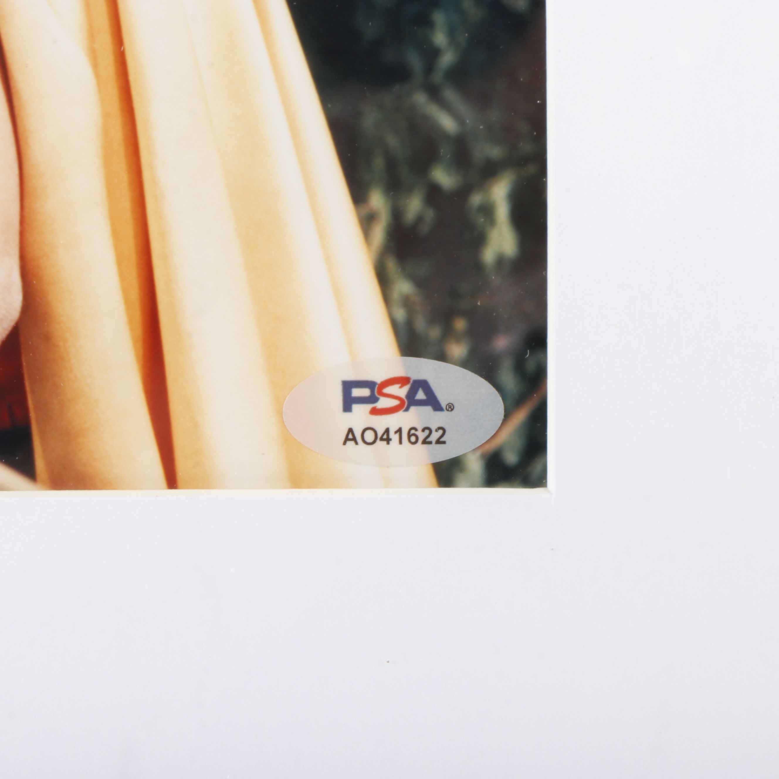 Burt Ward Signed “Batman and Robin” Print in Matted Frame, PSA