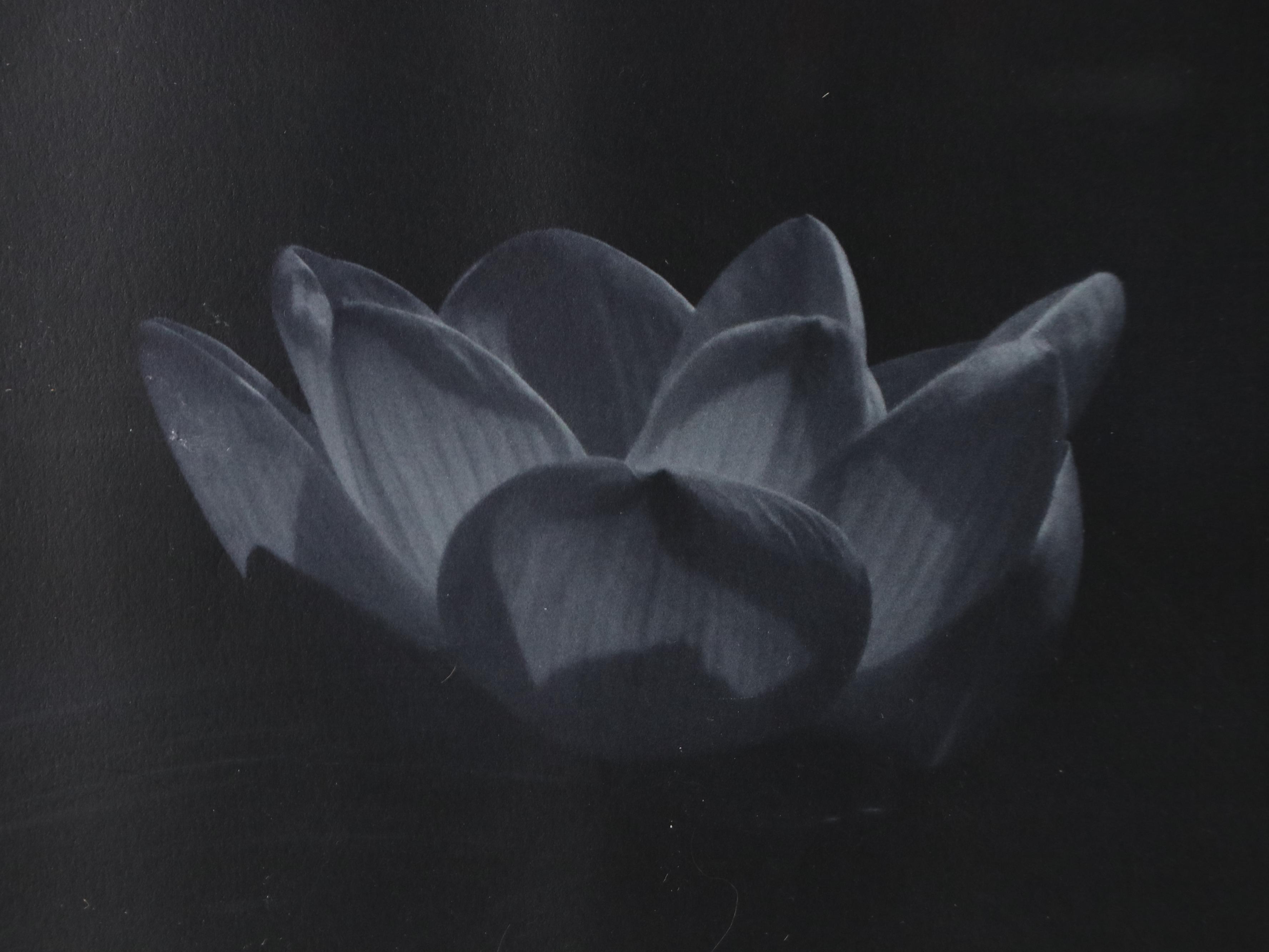 Offset Lithograph After Victoria Borges of Woman and Giclée of Lotus