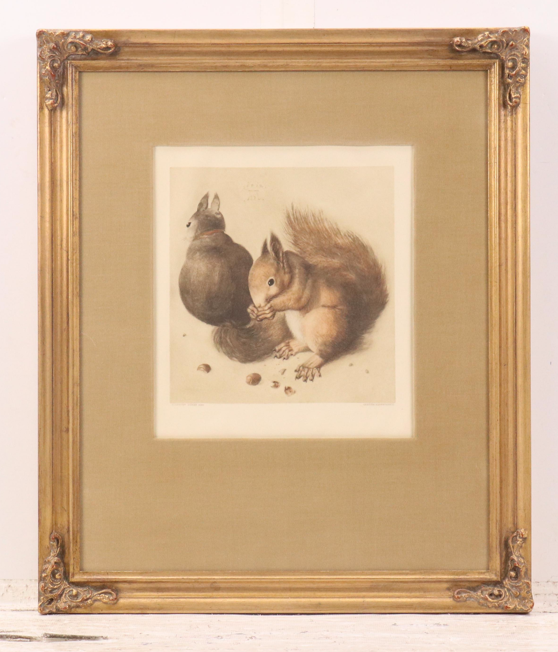 Franz Hanfstaengl Etchings After Albrecht Dürer Including "Young Hare"