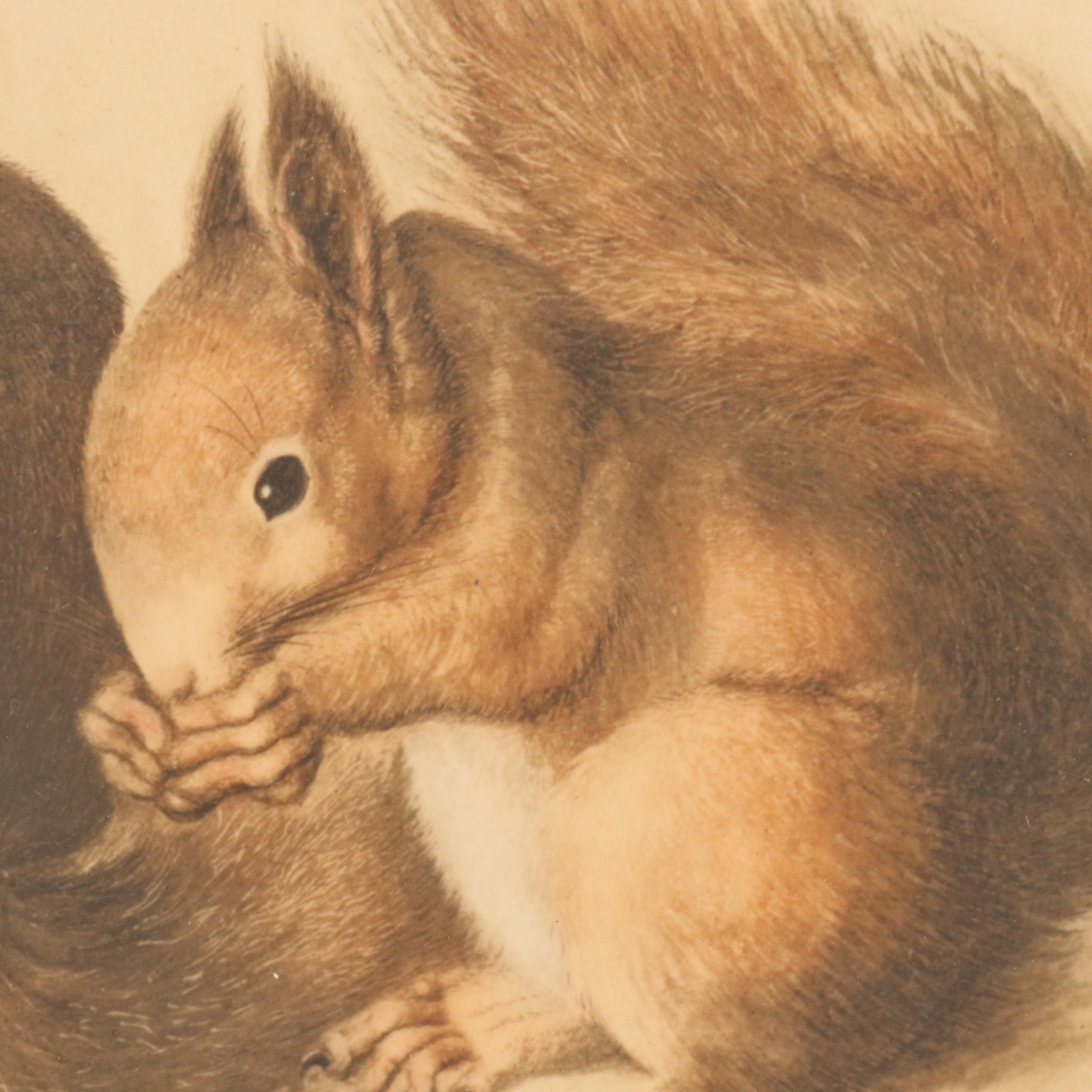 Franz Hanfstaengl Etchings After Albrecht Dürer Including "Young Hare"