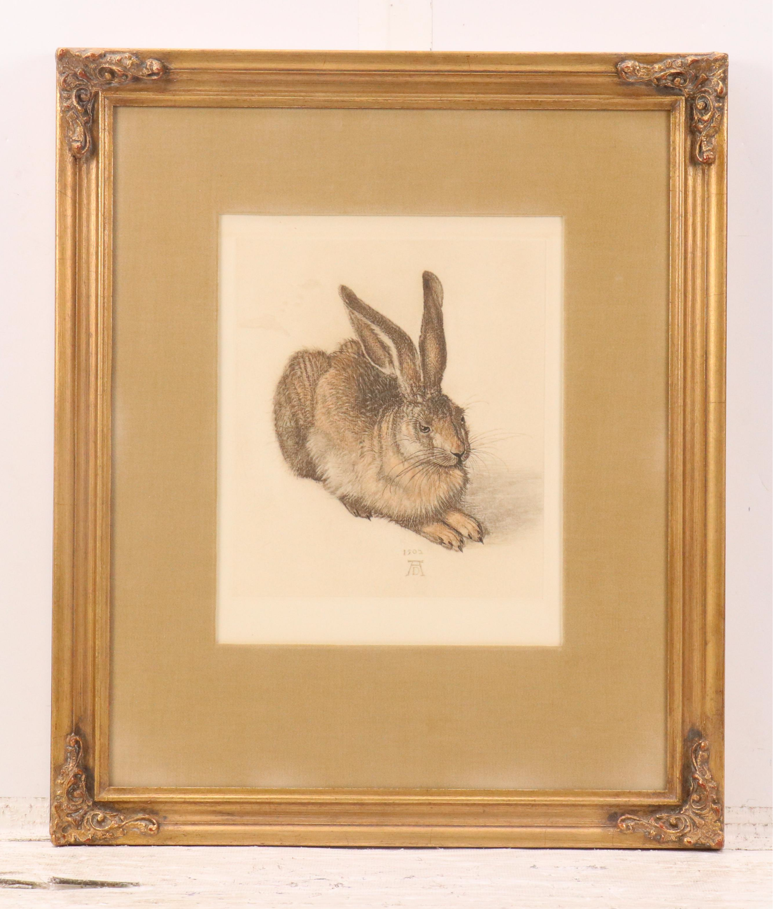 Franz Hanfstaengl Etchings After Albrecht Dürer Including "Young Hare"