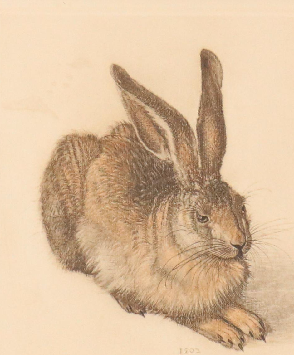 Franz Hanfstaengl Etchings After Albrecht Dürer Including "Young Hare"