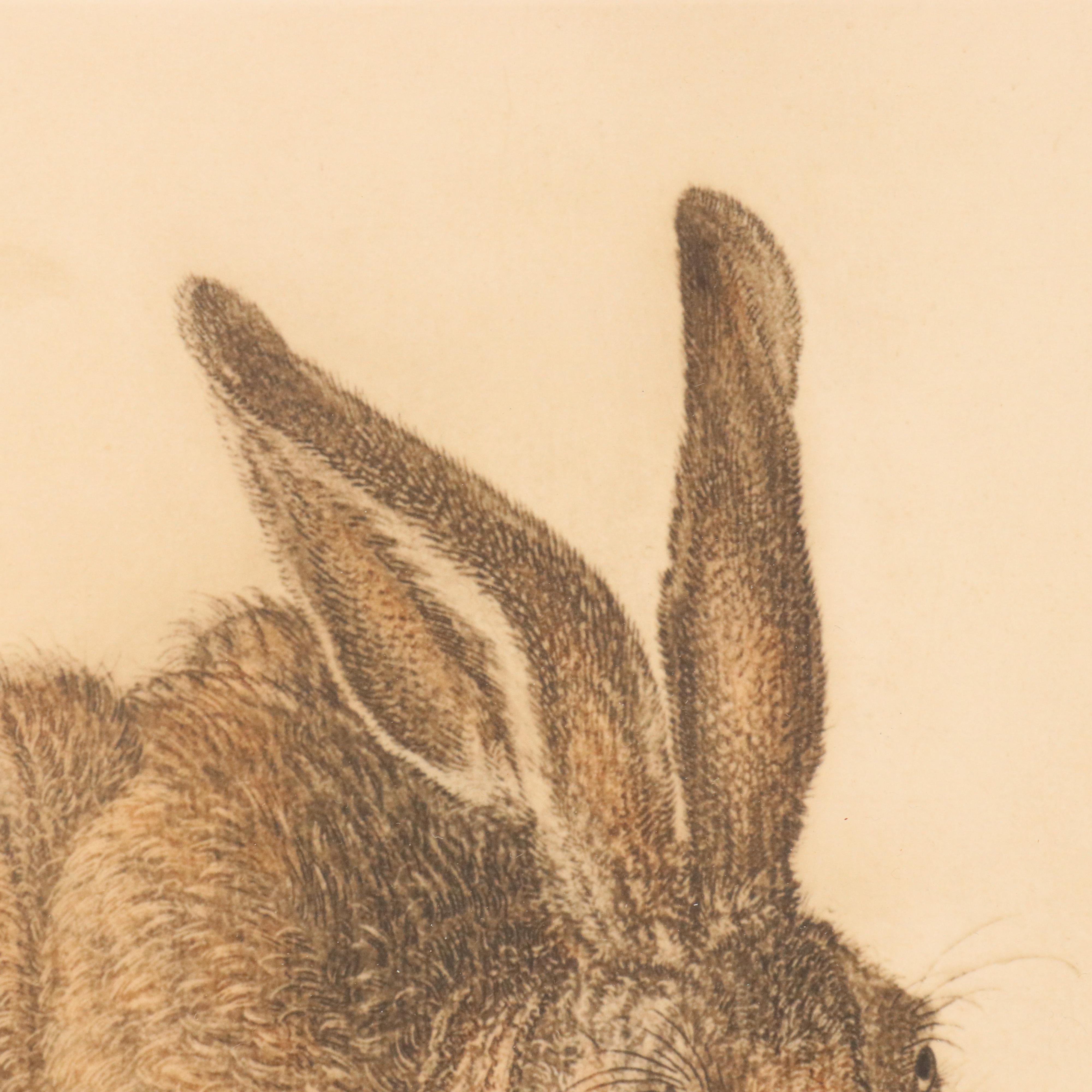 Franz Hanfstaengl Etchings After Albrecht Dürer Including "Young Hare"