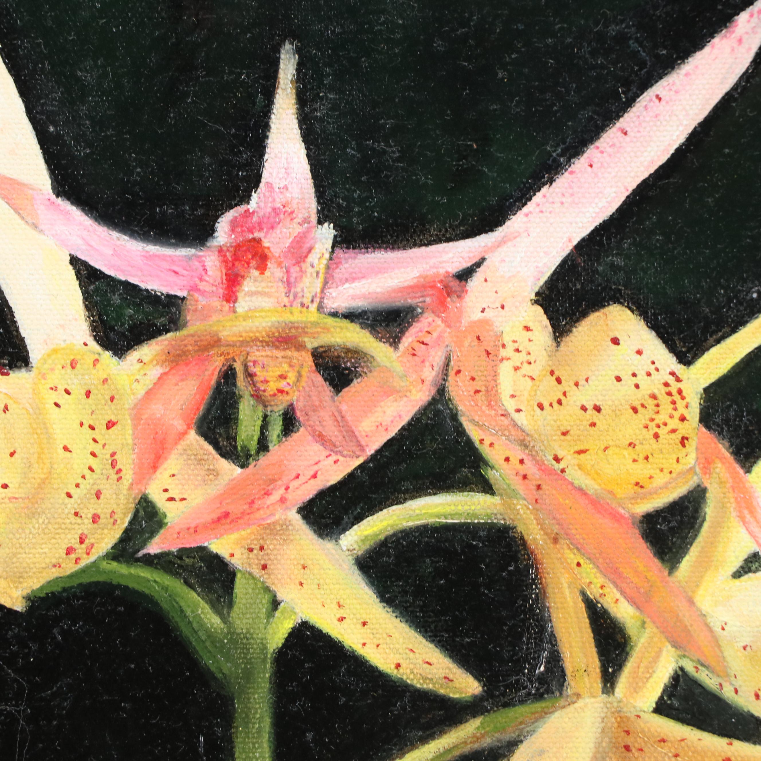 Oil Painting of Cattleya Orchids, 2005
