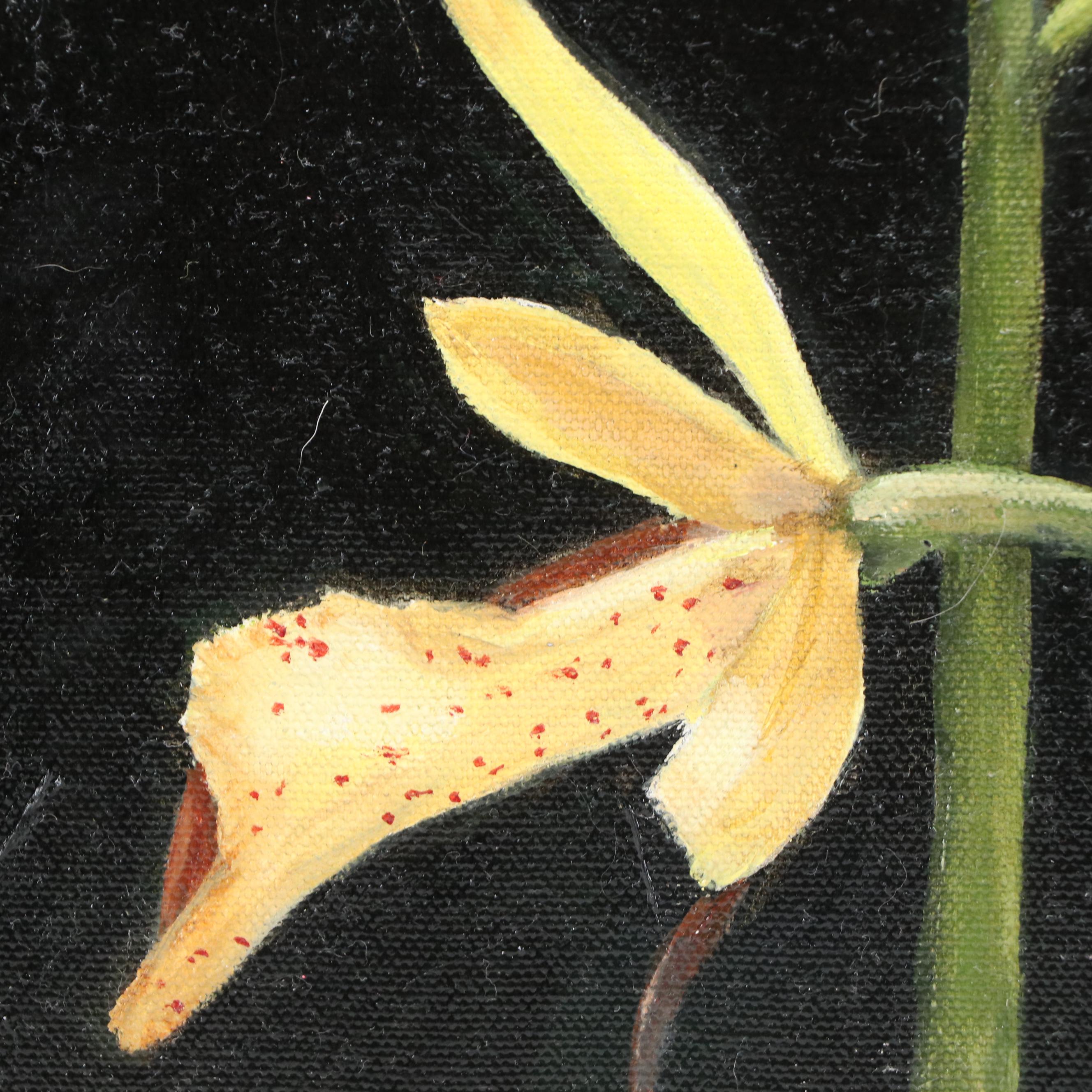 Oil Painting of Cattleya Orchids, 2005