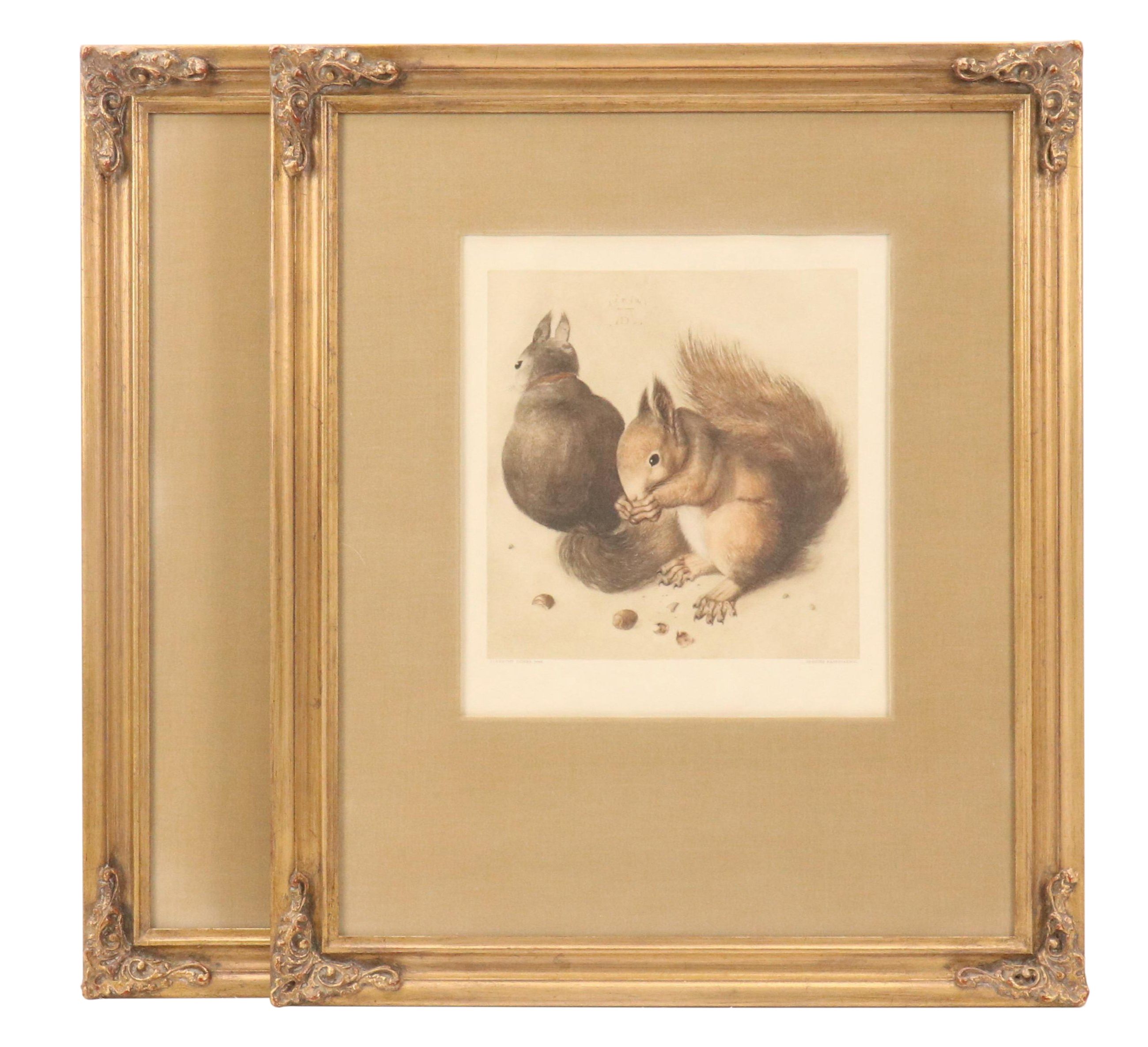 Franz Hanfstaengl Etchings After Albrecht Dürer Including "Young Hare"