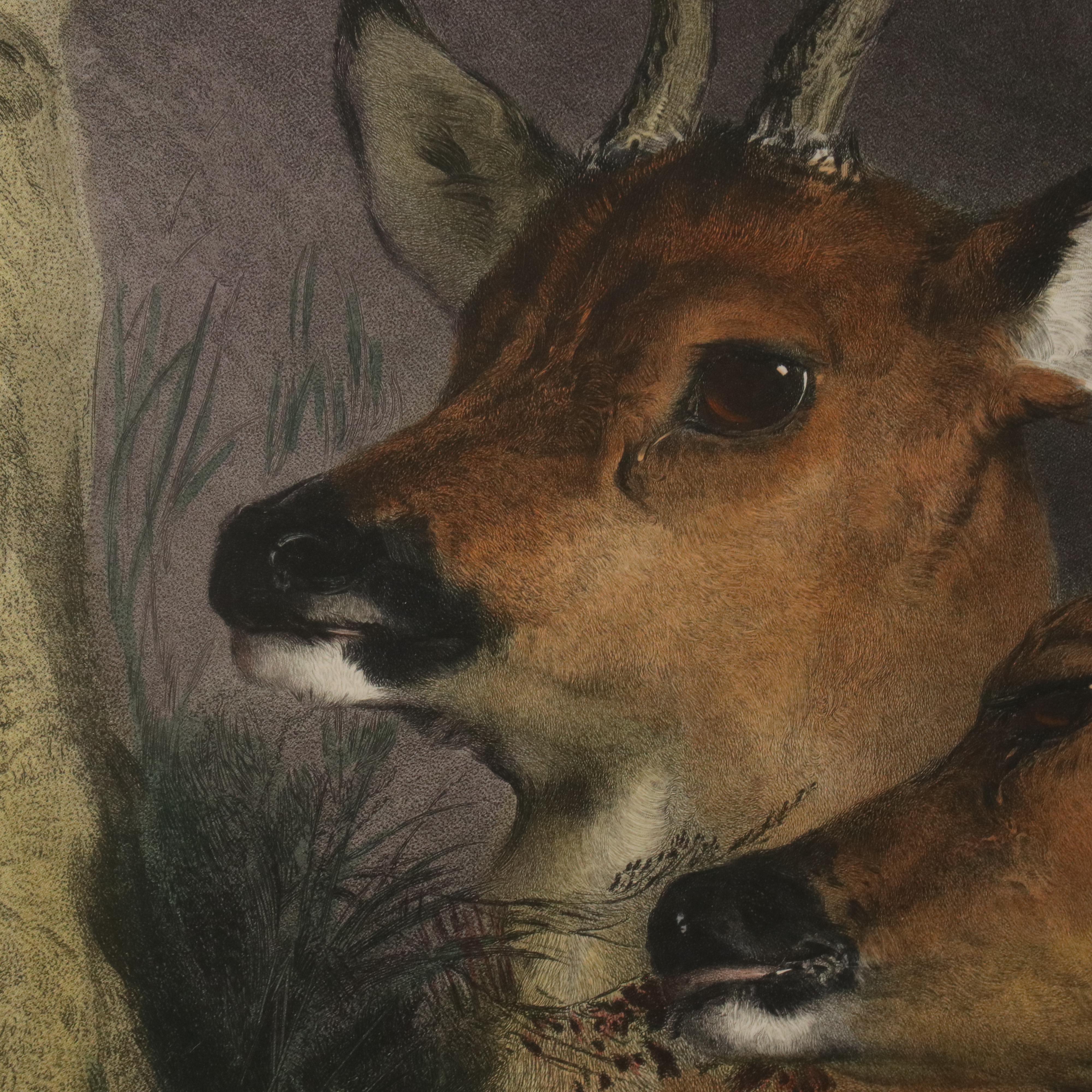 Hand-Colored Engraving After Sir Edwin Landseer "The Honeymoon," 1892