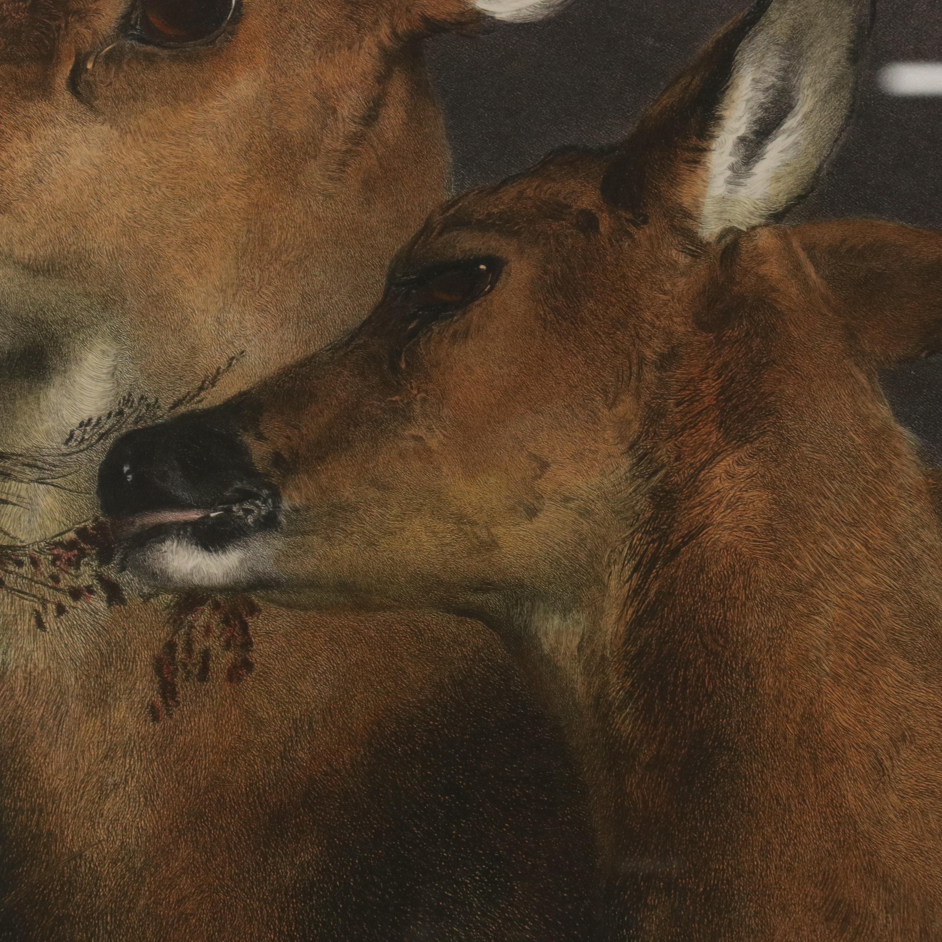 Hand-Colored Engraving After Sir Edwin Landseer "The Honeymoon," 1892