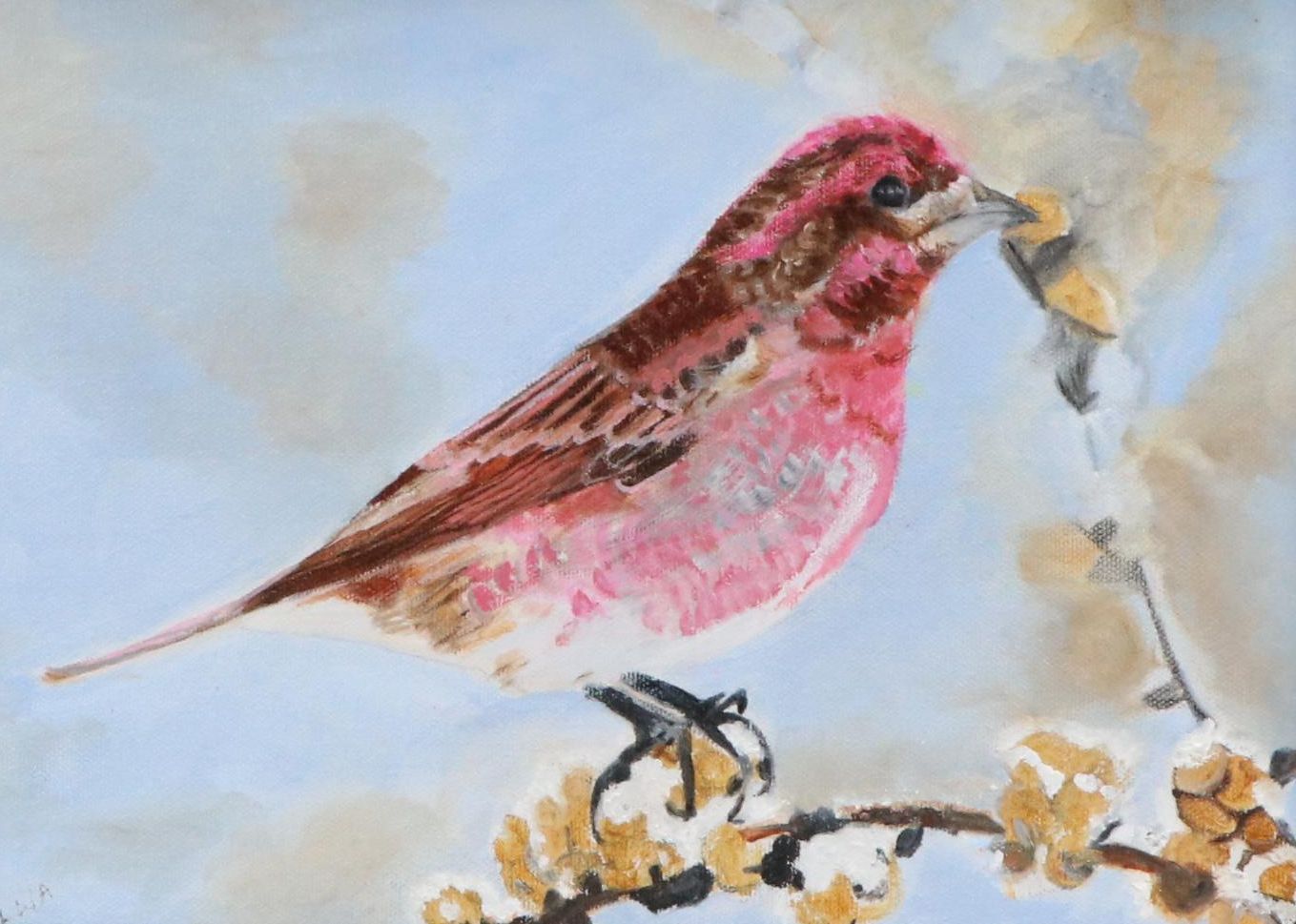 Oil Painting of Bird, 2008