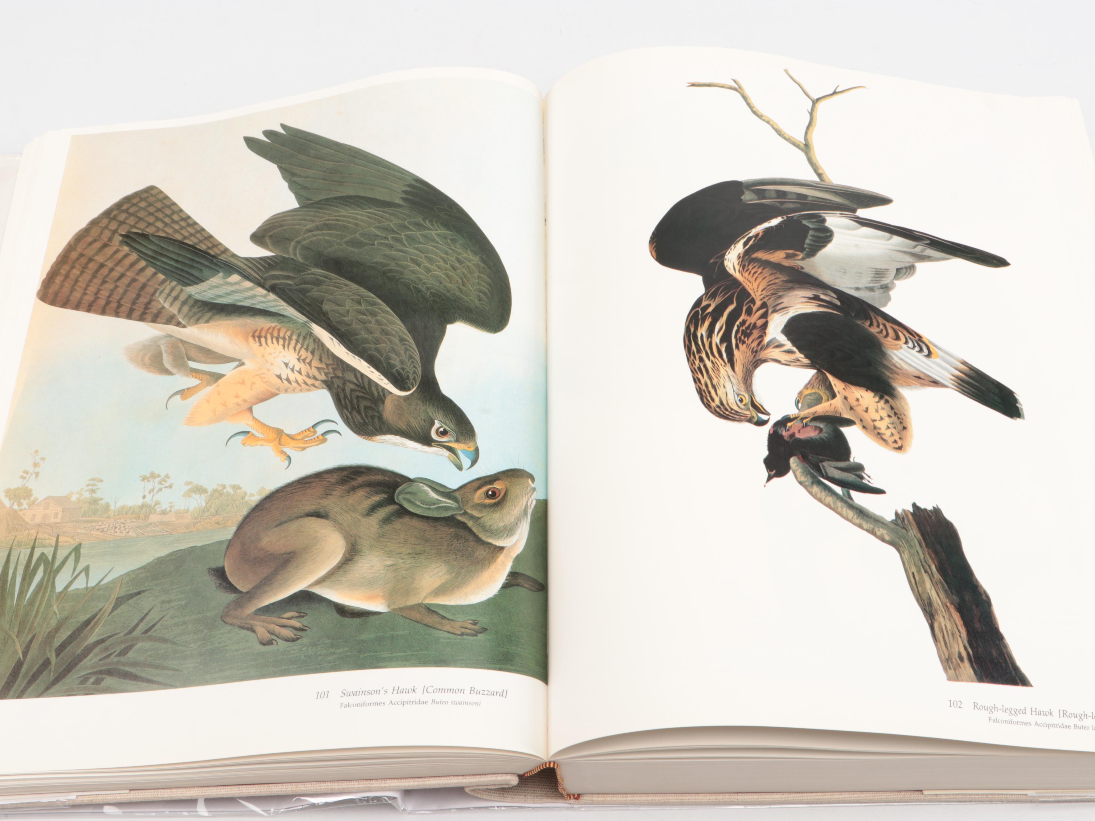 Baby Elephant Folio "Audubon's Birds of America" by the Petersons, 1985