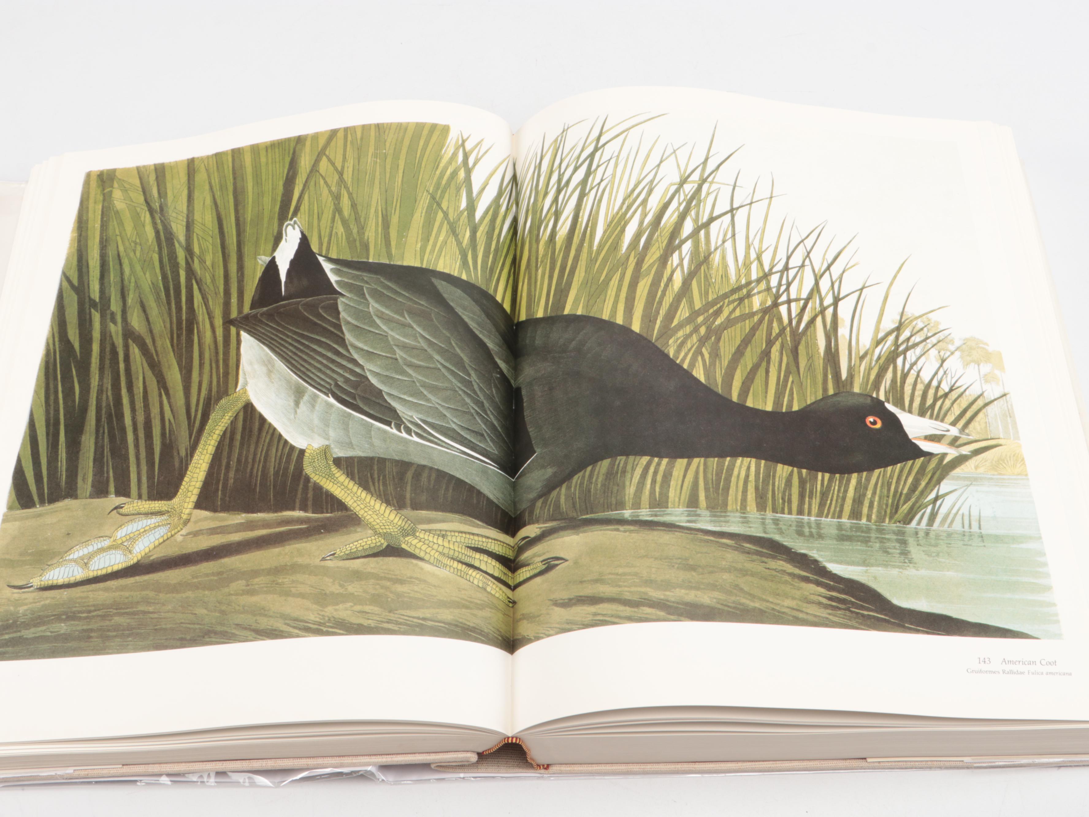 Baby Elephant Folio "Audubon's Birds of America" by the Petersons, 1985