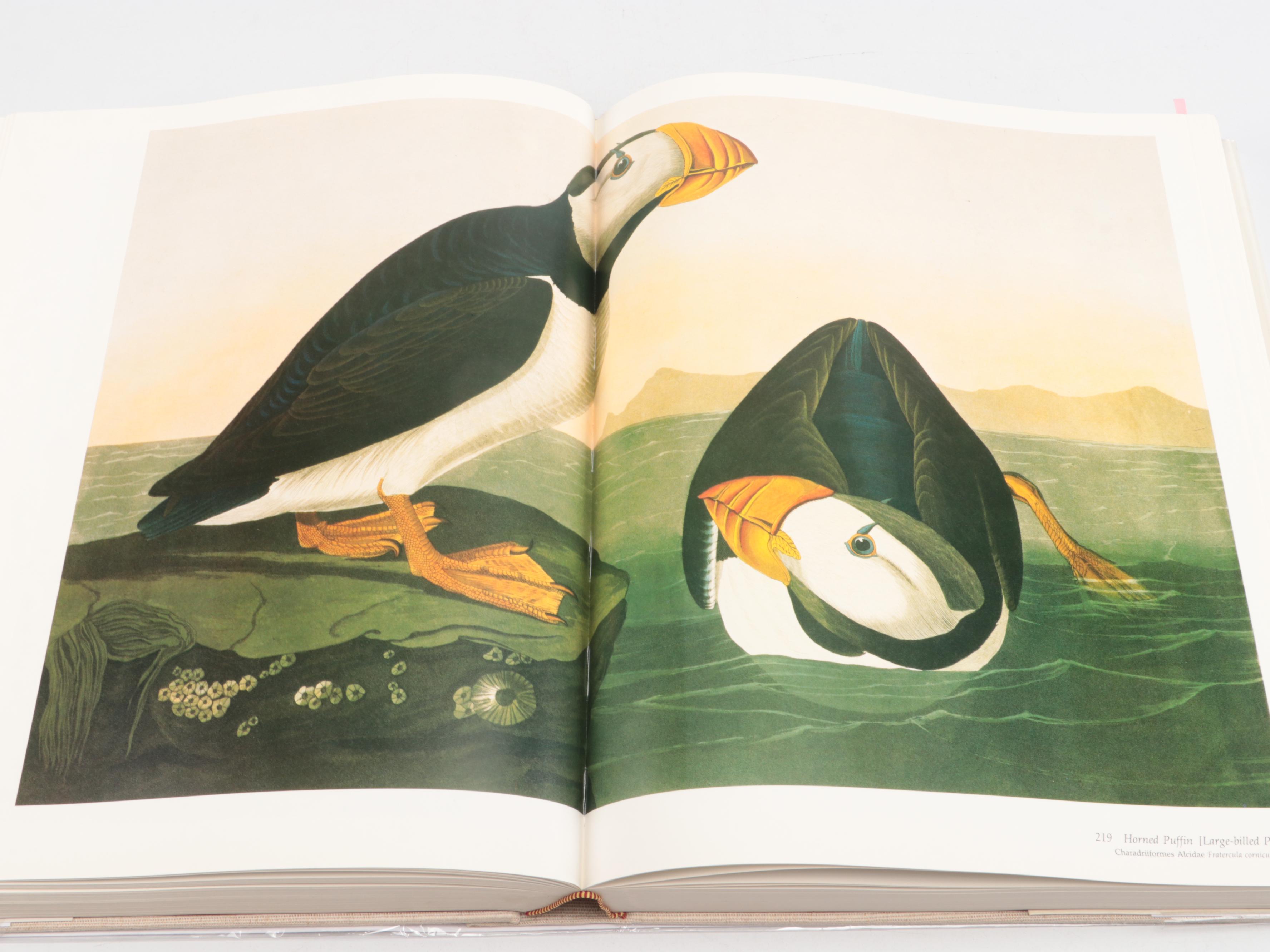 Baby Elephant Folio "Audubon's Birds of America" by the Petersons, 1985