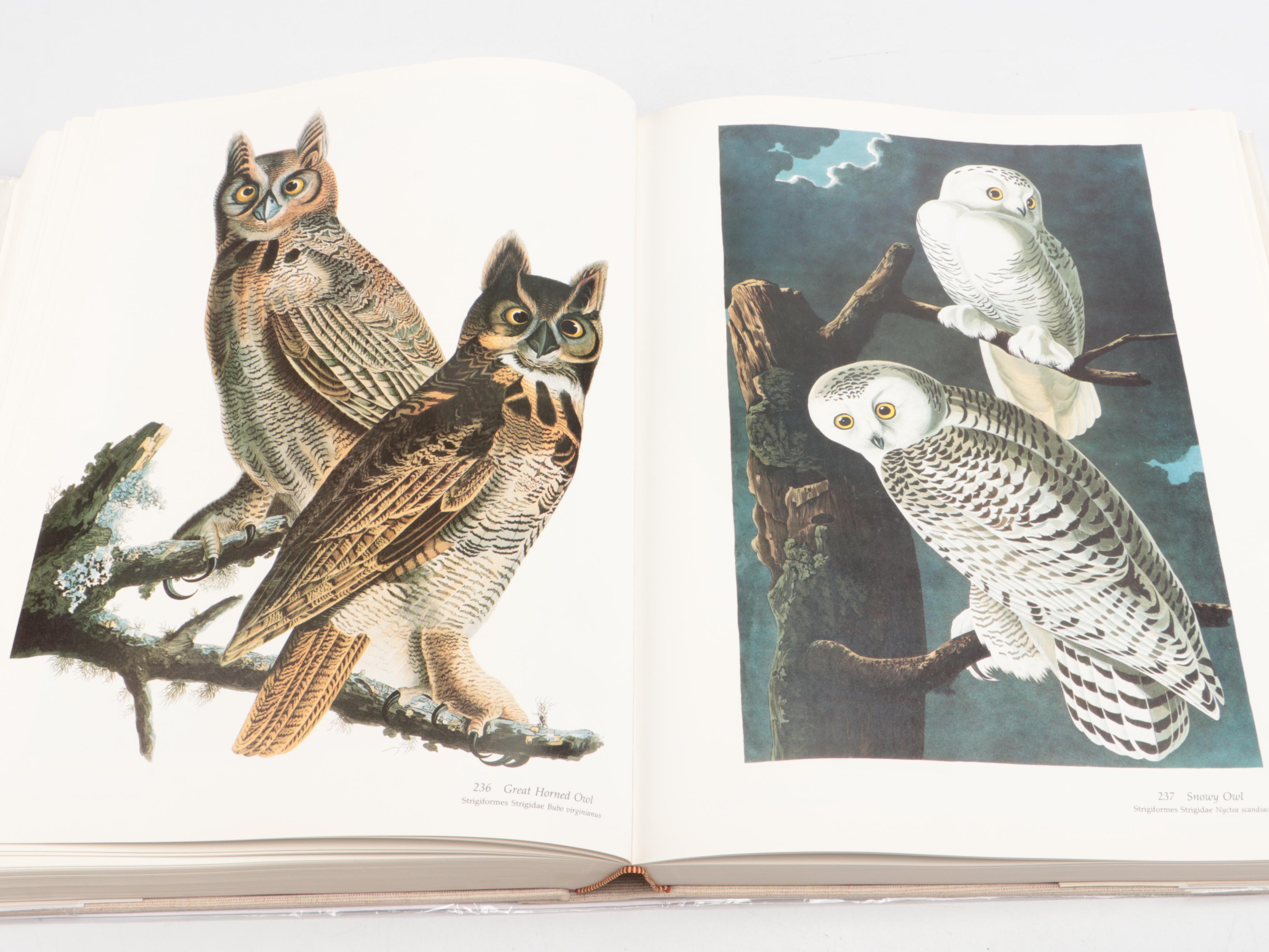 Baby Elephant Folio "Audubon's Birds of America" by the Petersons, 1985