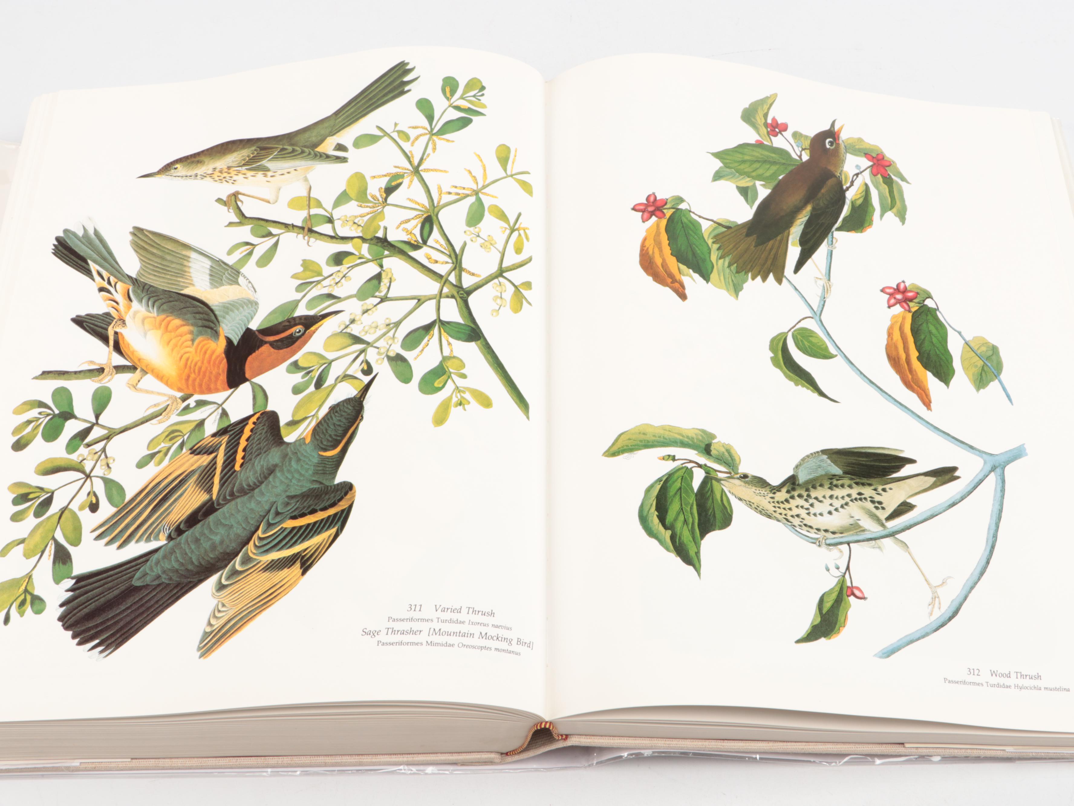 Baby Elephant Folio "Audubon's Birds of America" by the Petersons, 1985