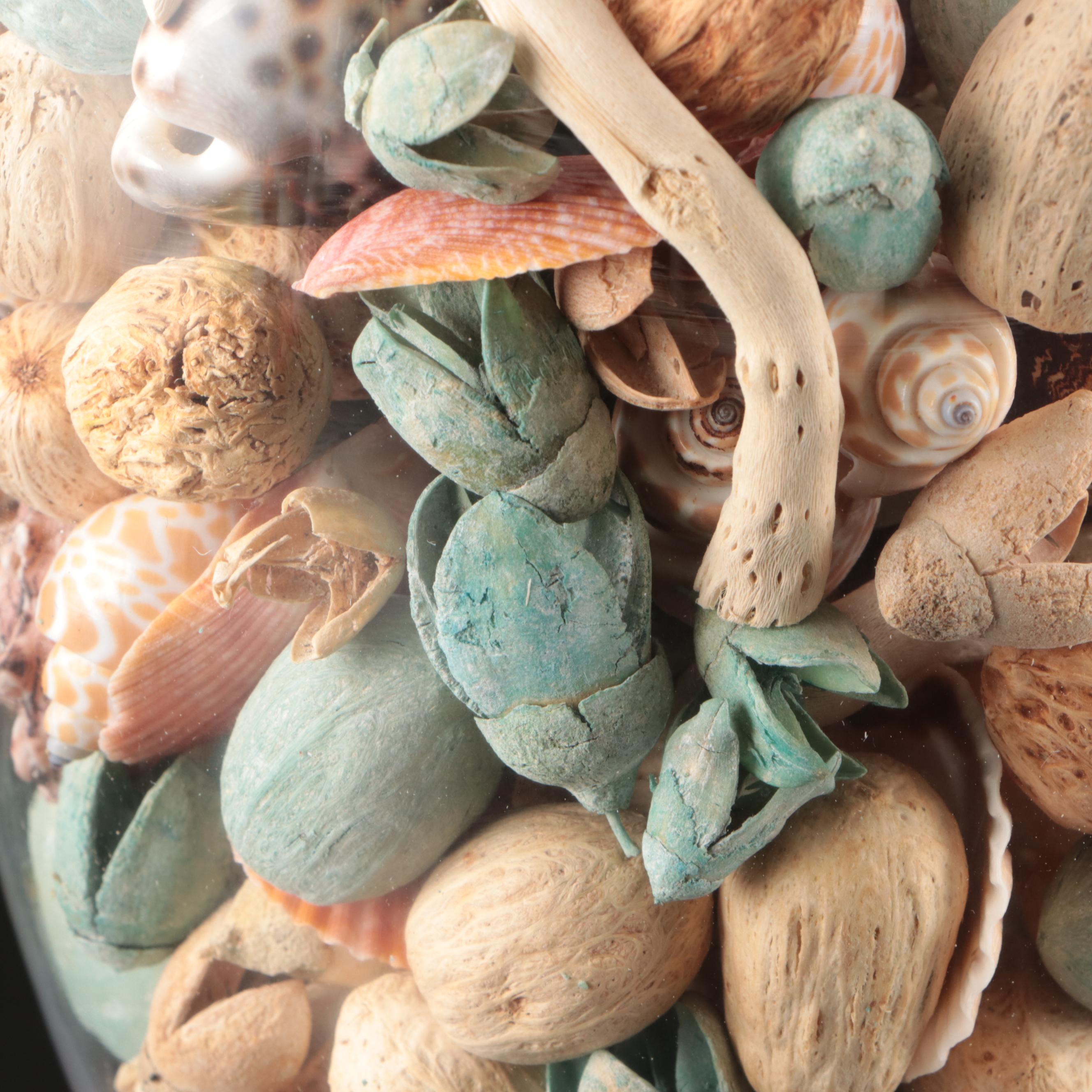 Spider Conch, Cowrie, Black Lace Murex, Sea Beans with Glass Vase