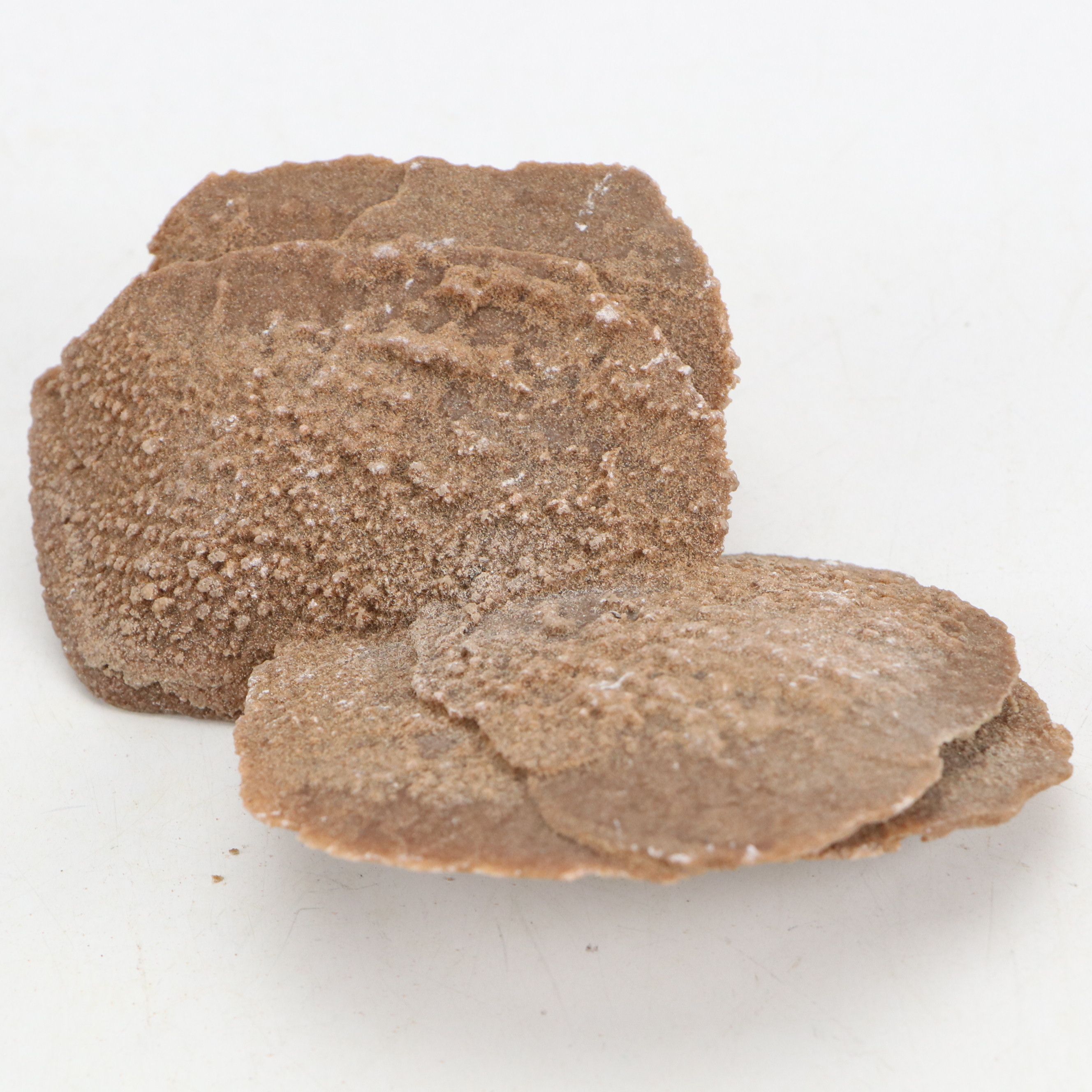 Gypsum Desert Rose Specimen Clusters