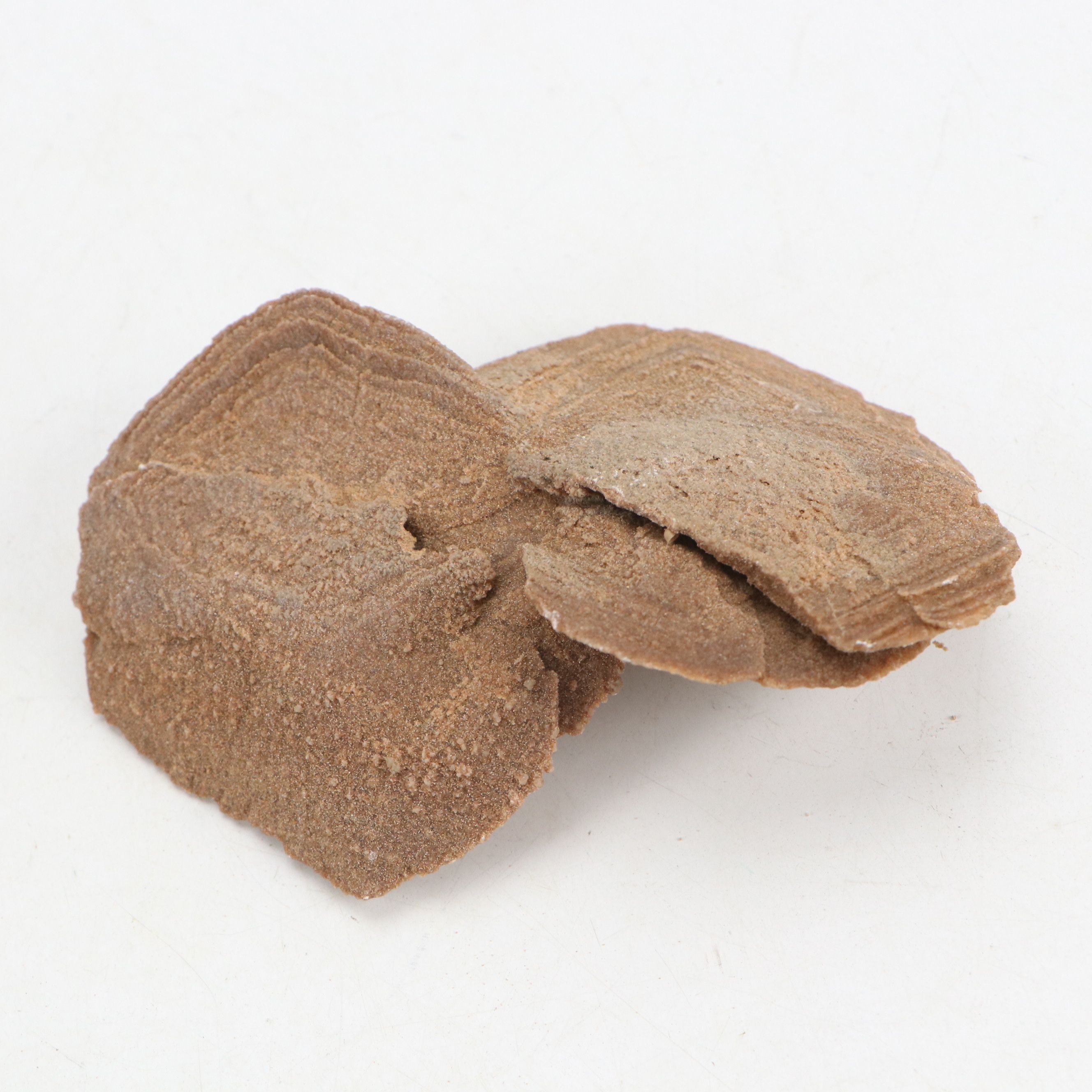 Gypsum Desert Rose Specimen Clusters