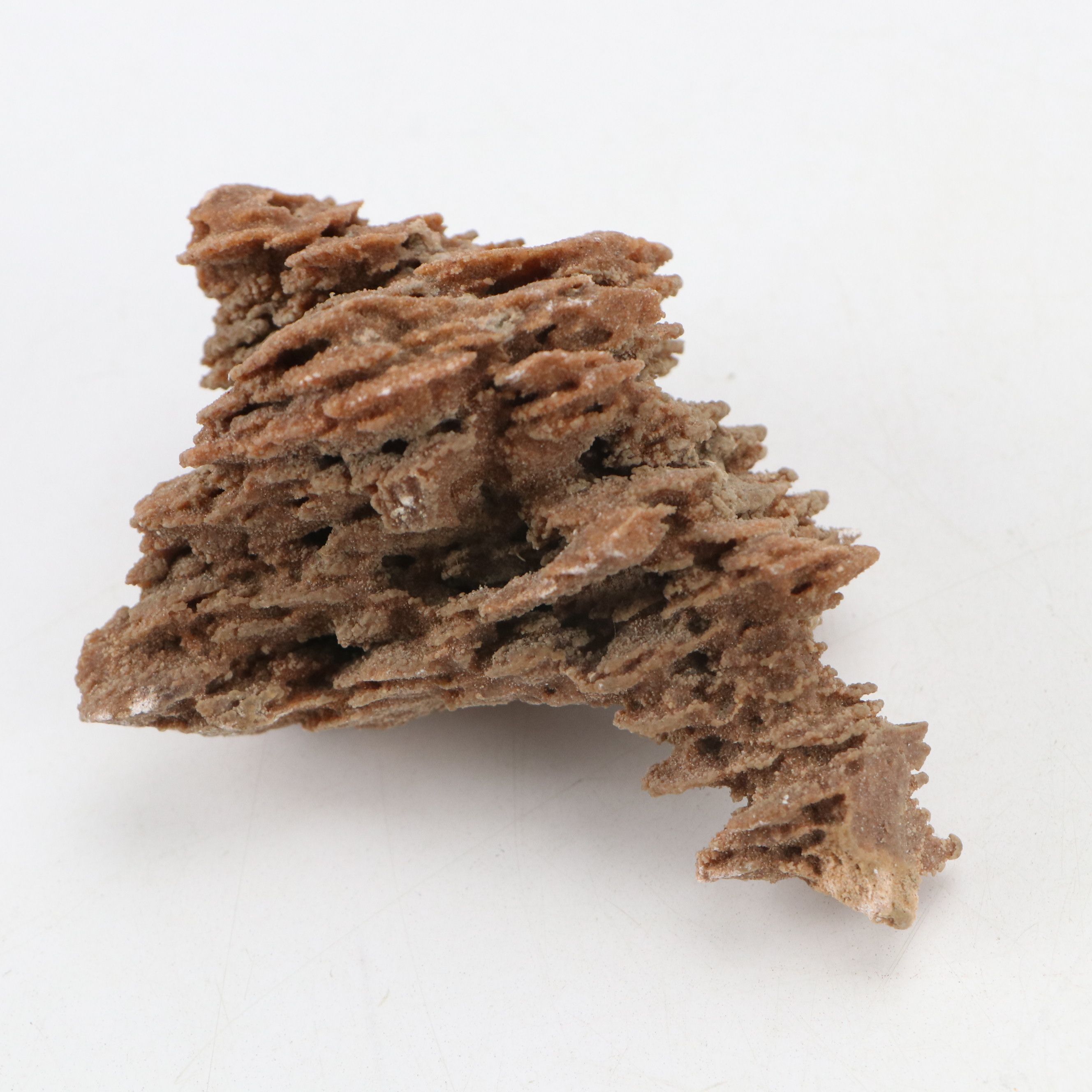 Gypsum Desert Rose Specimen Clusters