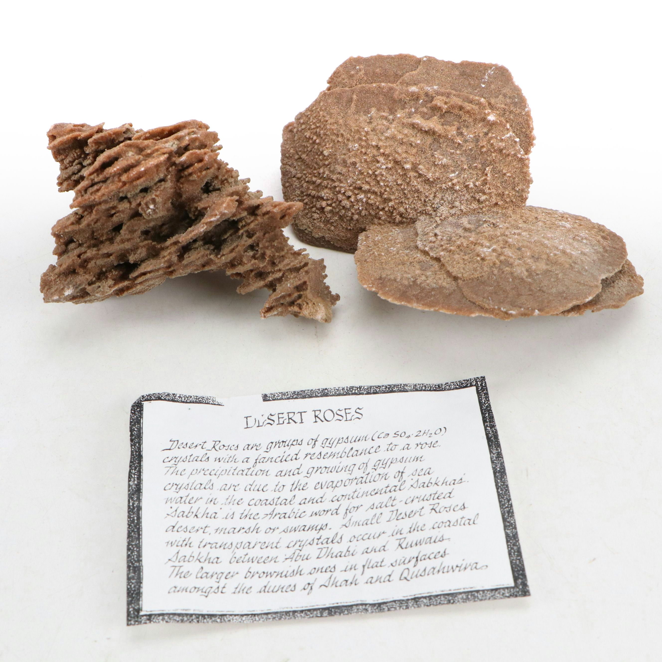 Gypsum Desert Rose Specimen Clusters