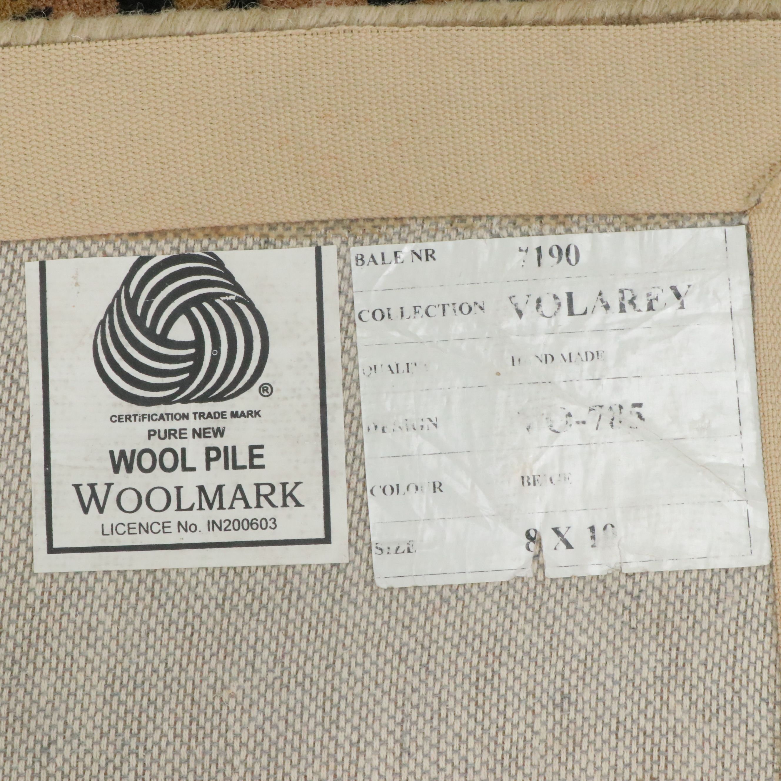 8'1 x 10'3 Hand-Tufted Contemporary Leopard Print Area Rug