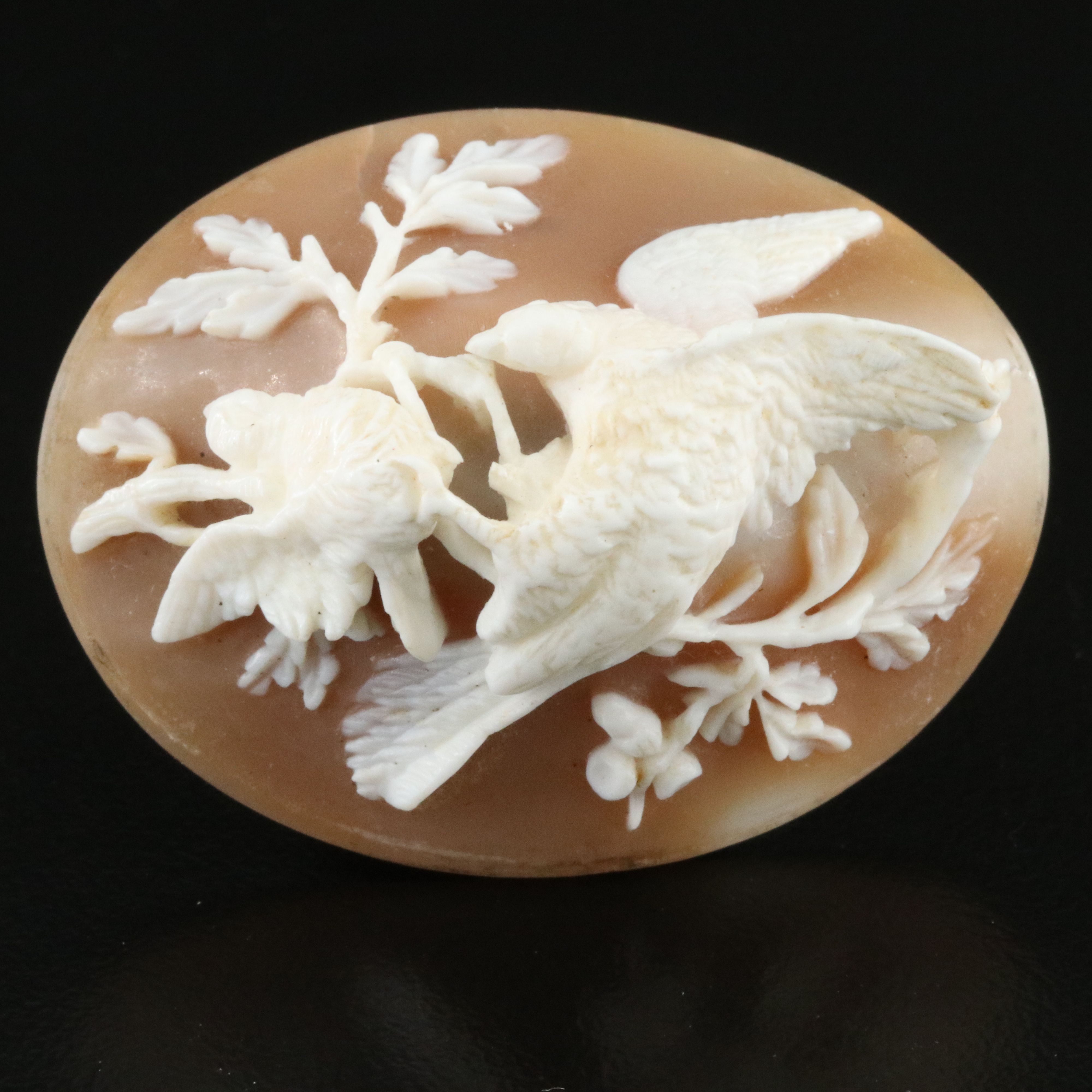 Loose Gemstone Lot Including Shell, Hematite and Ceramic