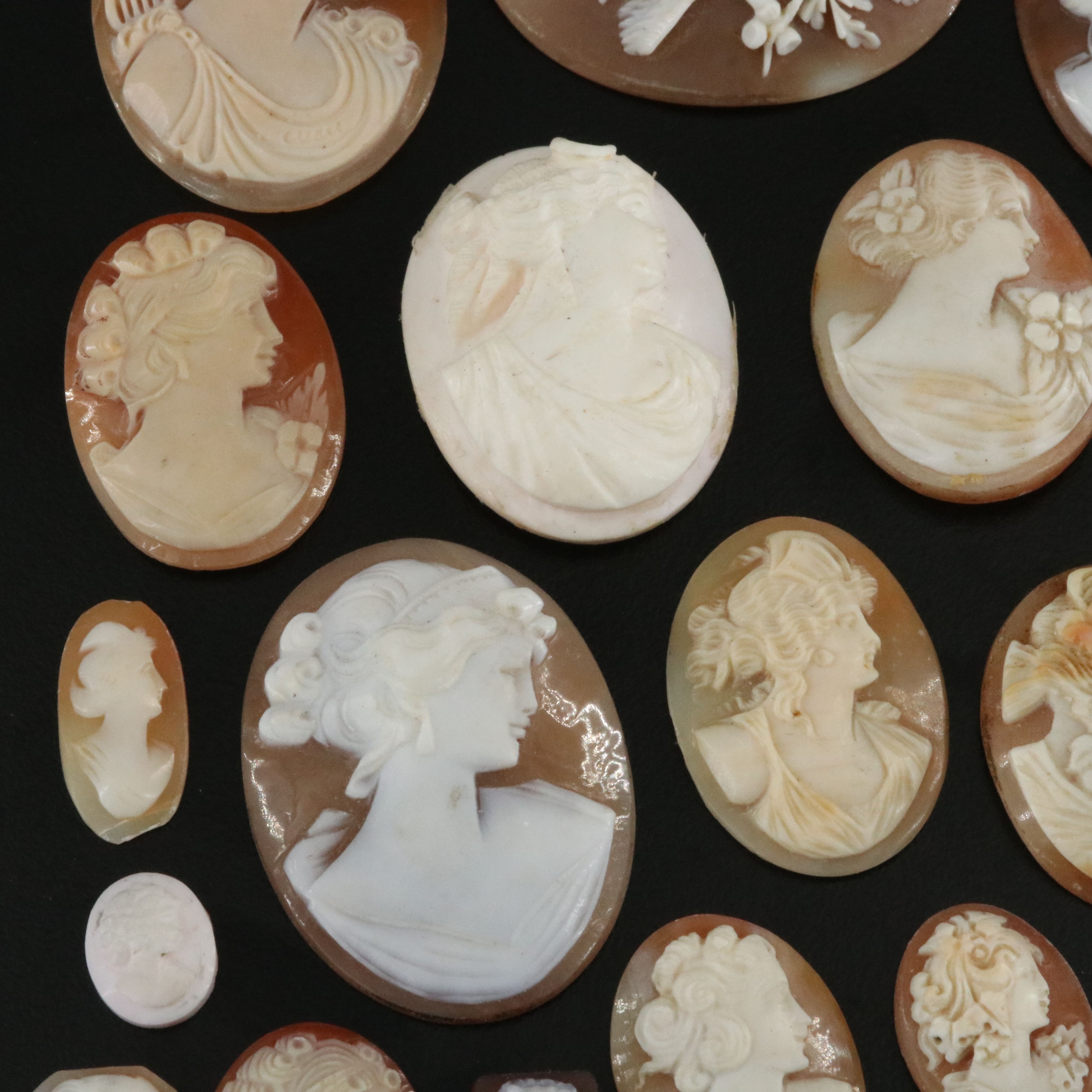 Loose Gemstone Lot Including Shell, Hematite and Ceramic