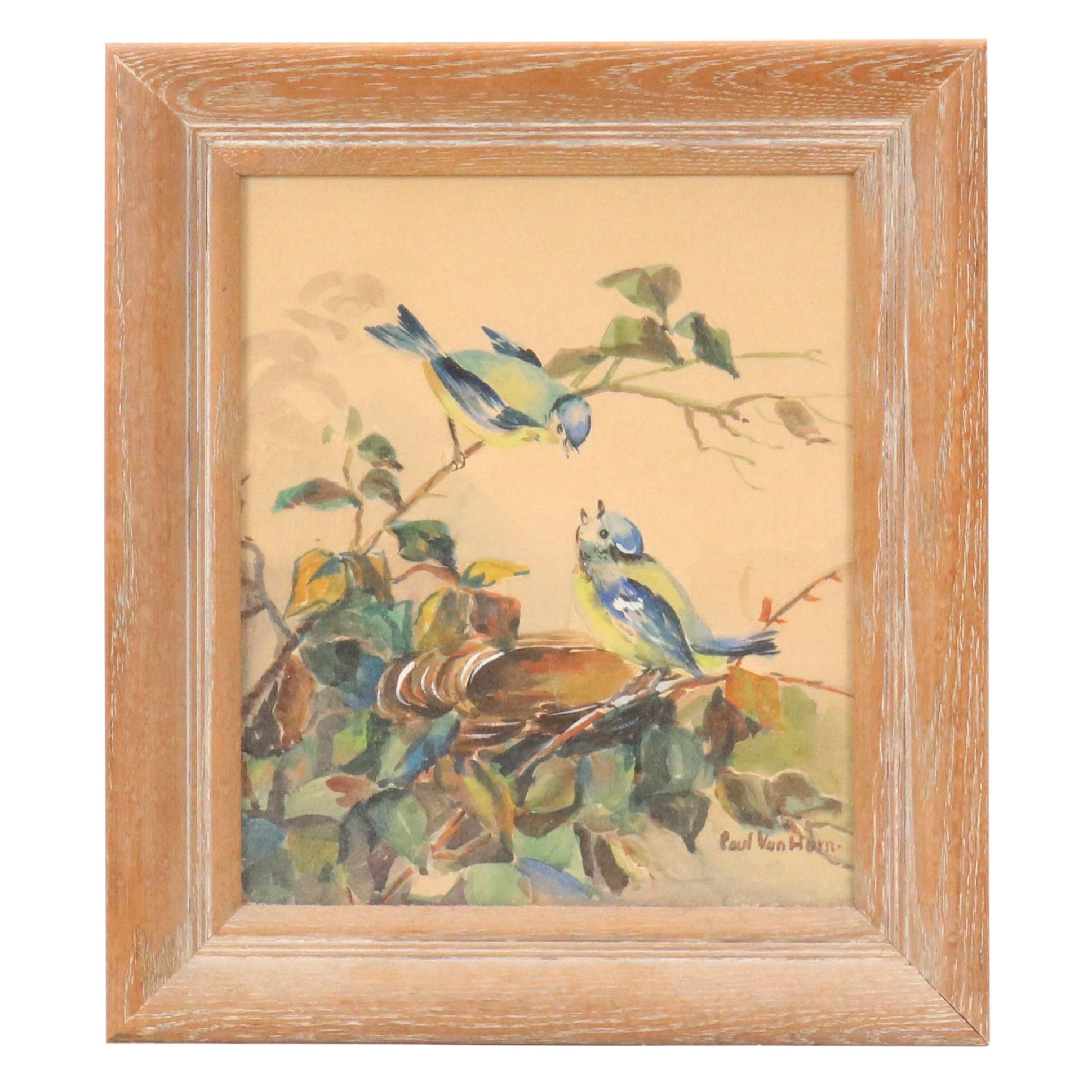 Paul Van Horn Watercolor Painting of Birds Nest in Tree "Blue Bird"