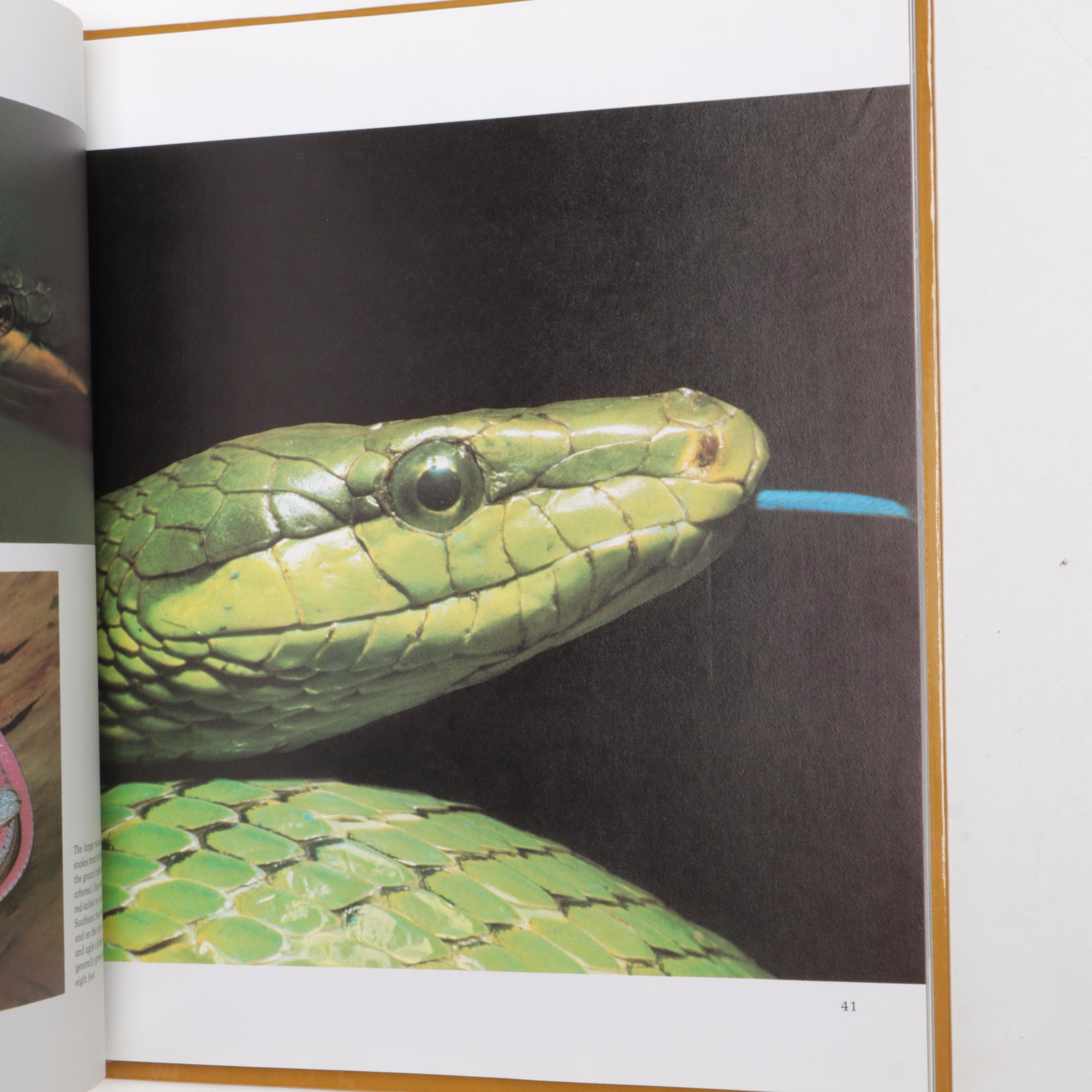 Time-Life Television "Wild, Wild World of Animals" Partial Set, 1970s