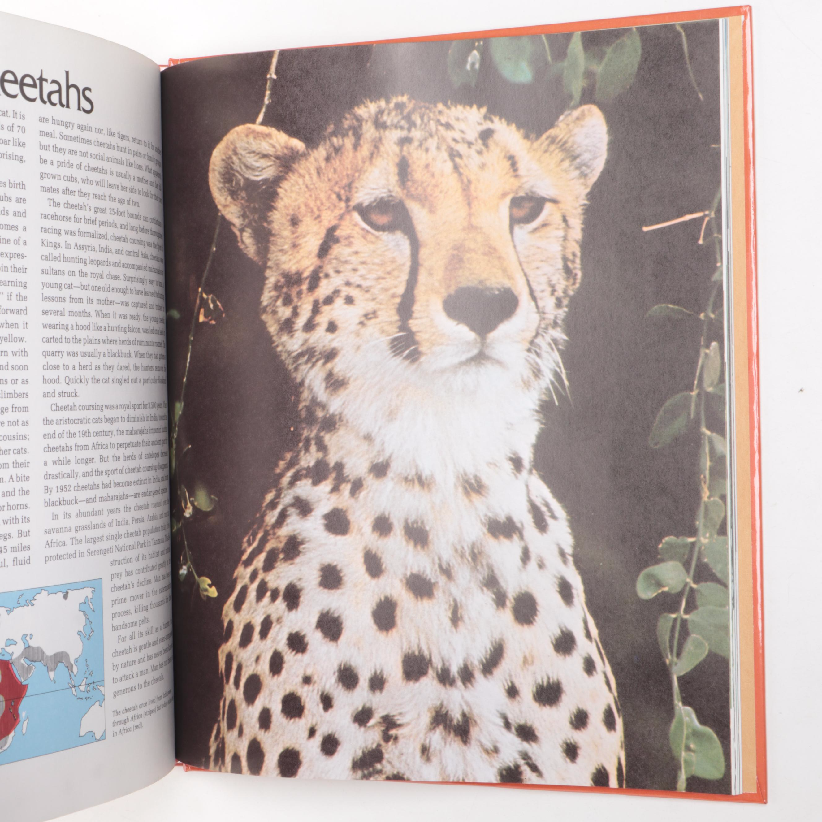 Time-Life Television "Wild, Wild World of Animals" Partial Set, 1970s