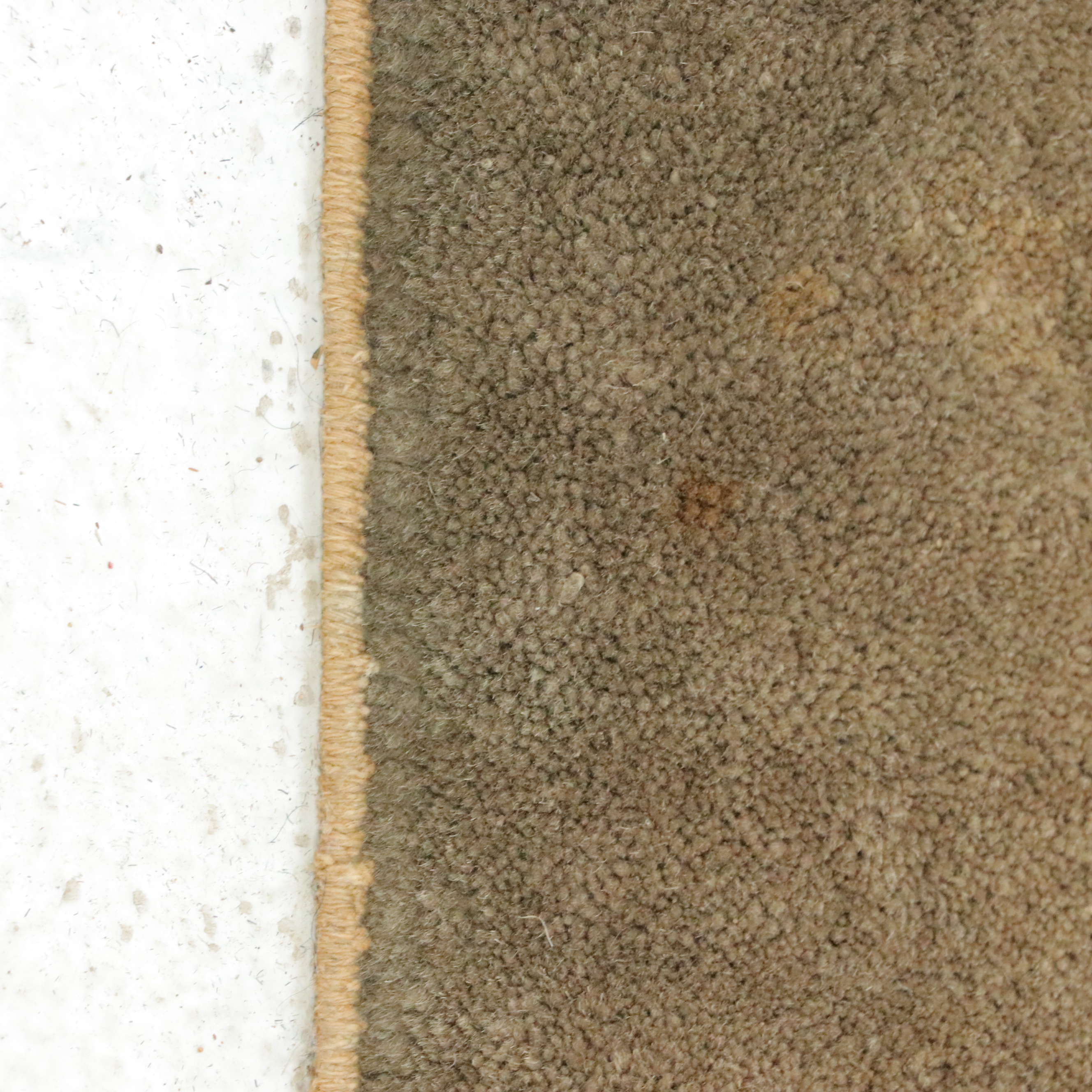 9'4 x 14'6 Hand-Knotted Nepali-Chinese Art Nichols Style Room Sized Rug