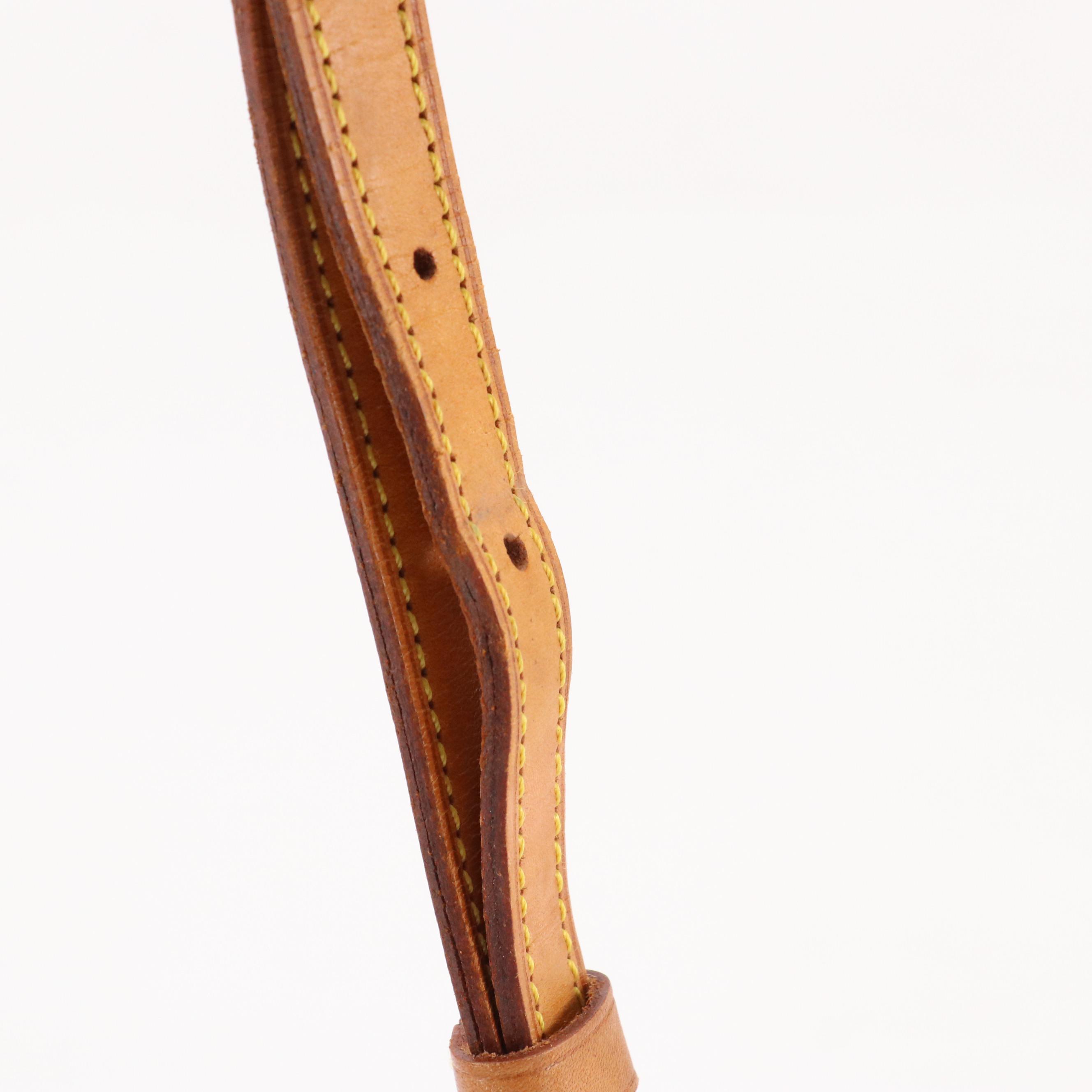 Louis Vuitton Trotteur Shoulder Bag in Monogram Canvas and Leather Trim