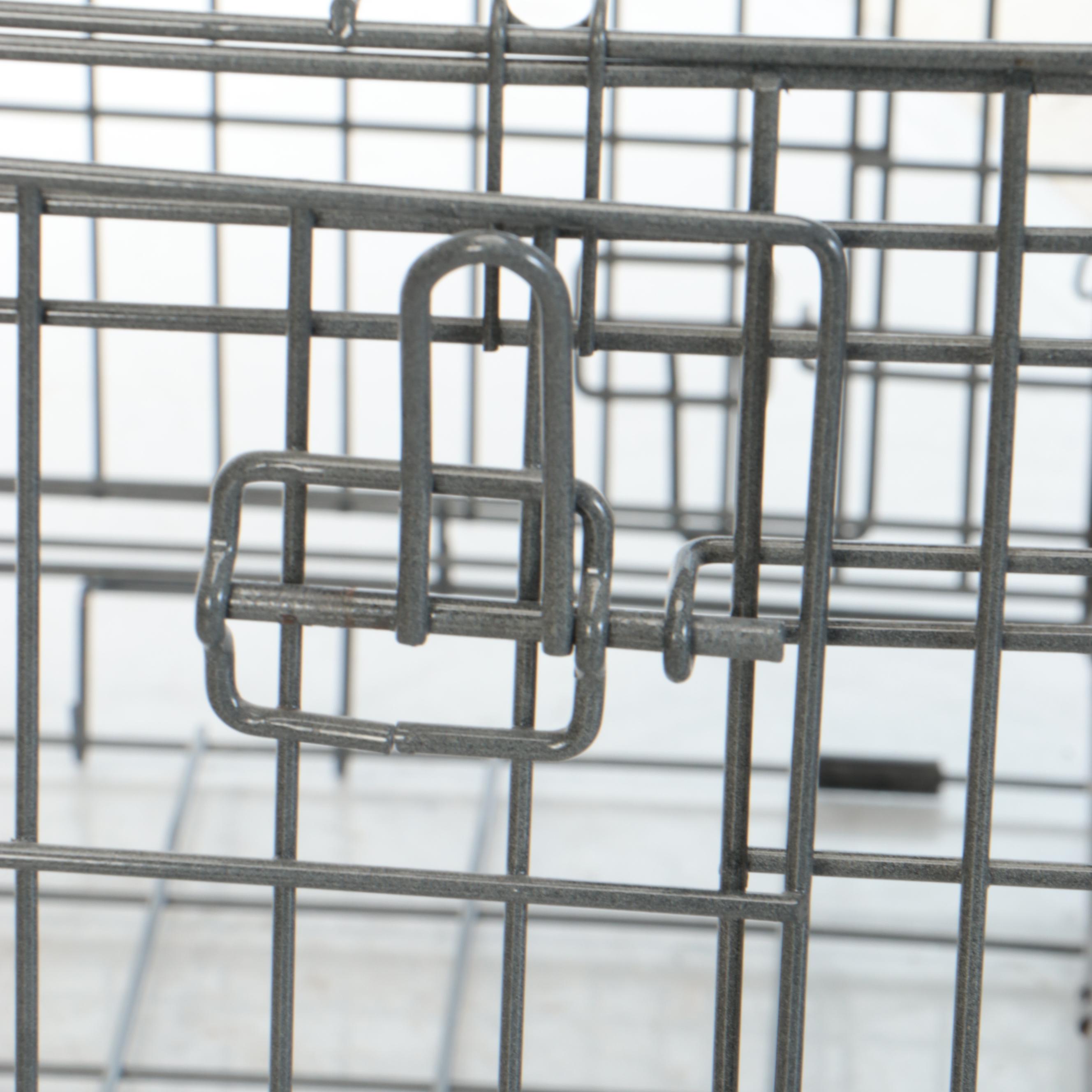 Top Paw Small and Other Folding Double Door Dog Crate