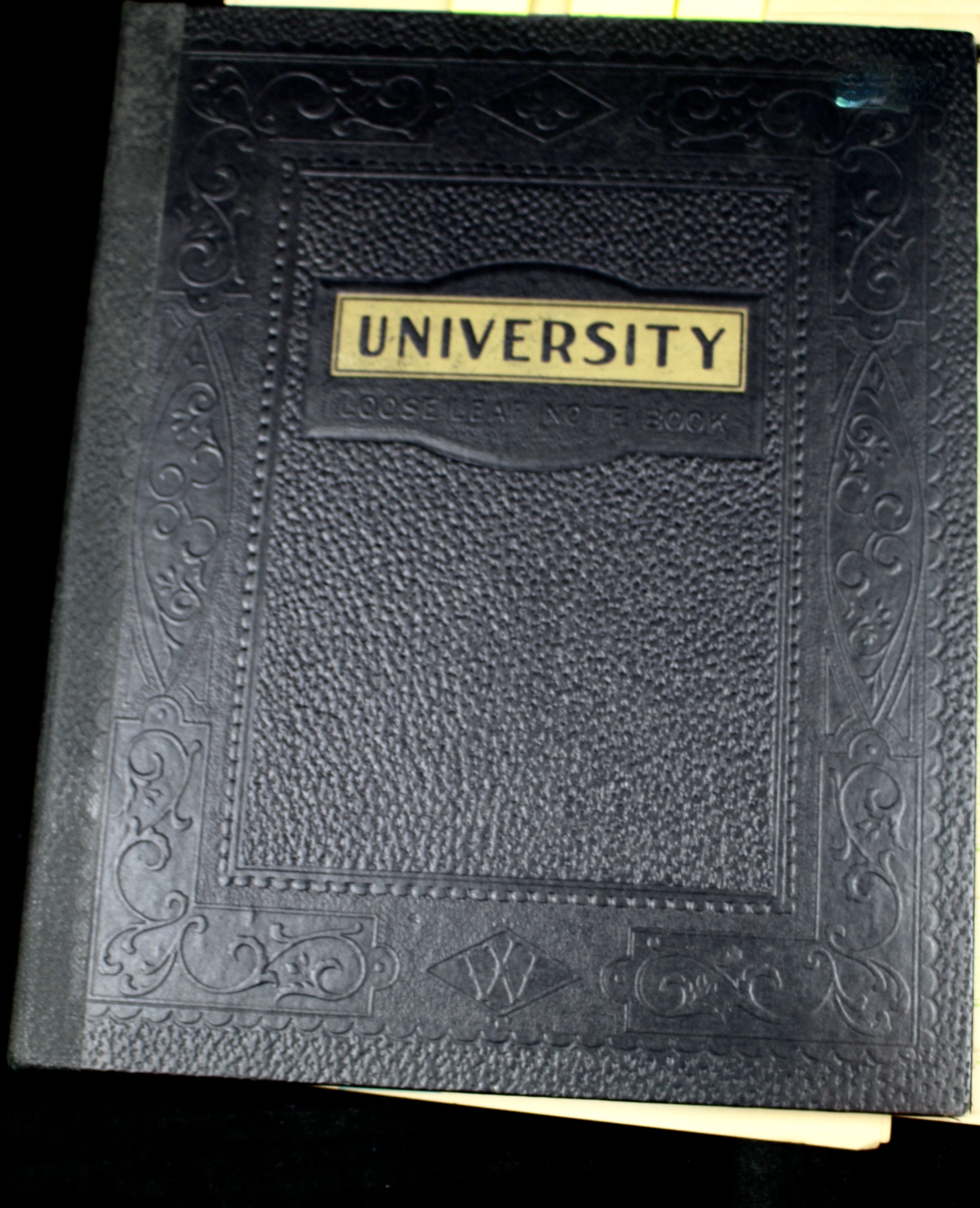 Early University Notebook of Hundreds of Vintage U.S. Postage Stamps