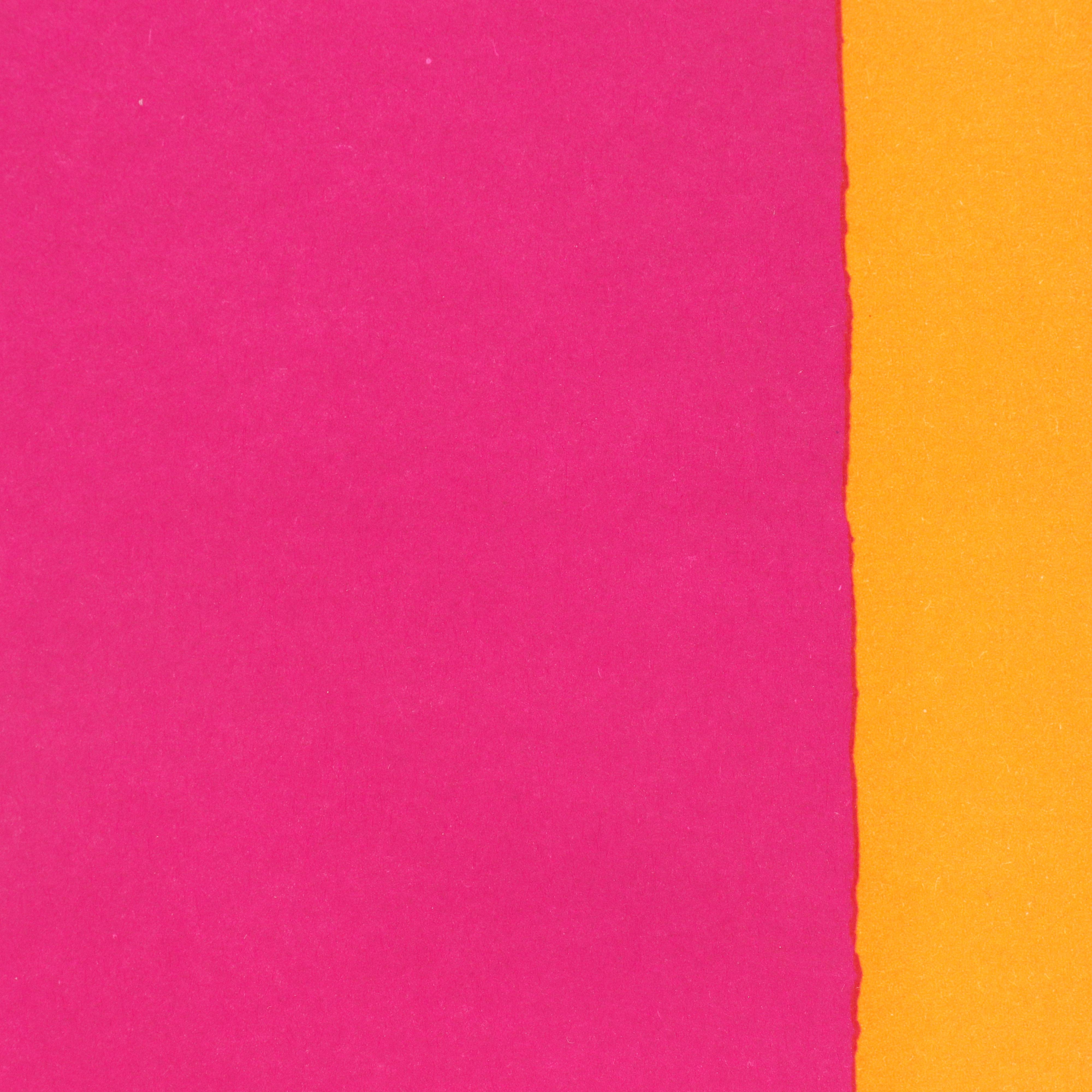 Color Lithograph After Henri Matisse "Le Loup" From "Jazz," Circa 1950