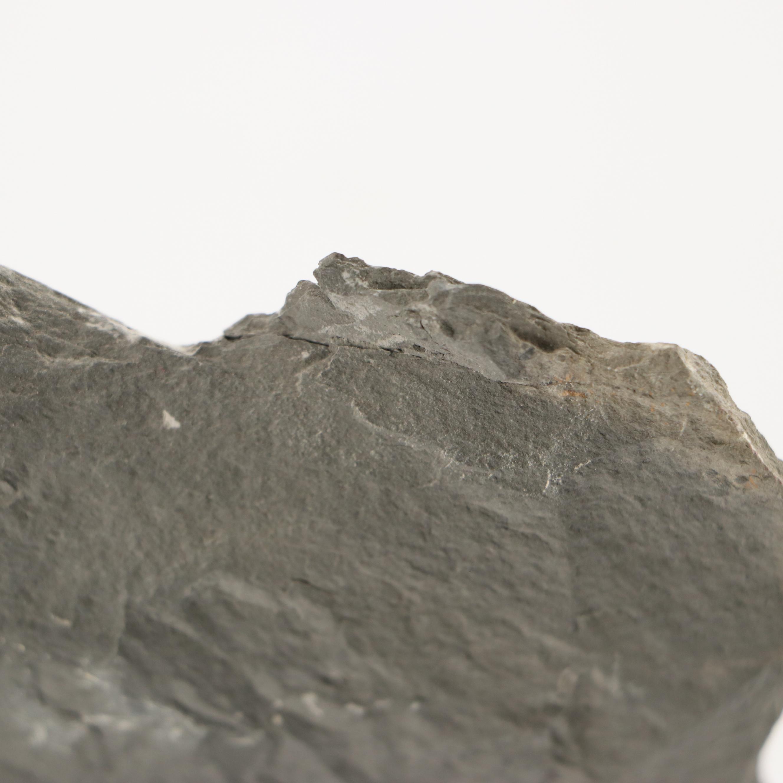 Natural Calcite, Trilobites, Agate and Alurgite Mica