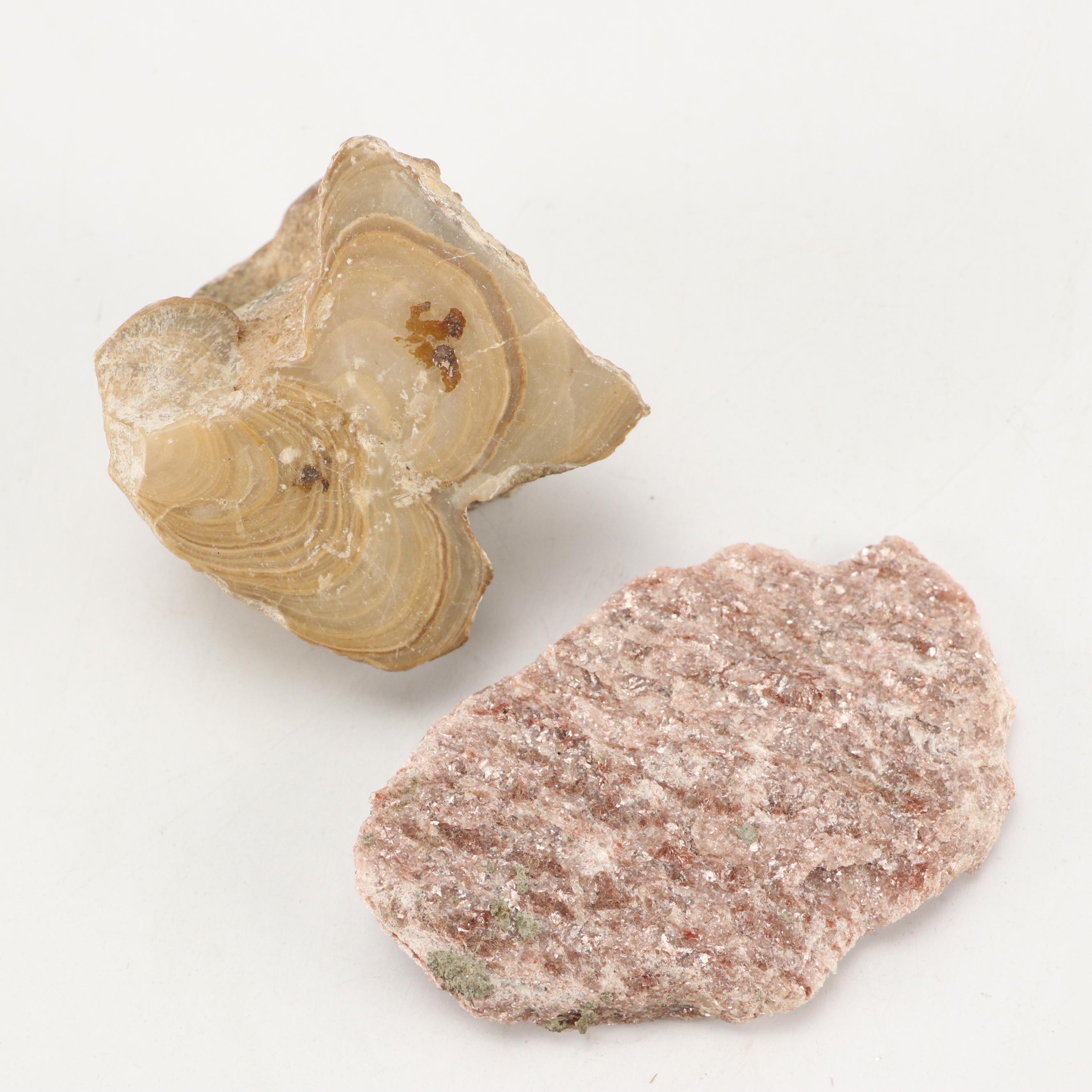 Natural Calcite, Trilobites, Agate and Alurgite Mica