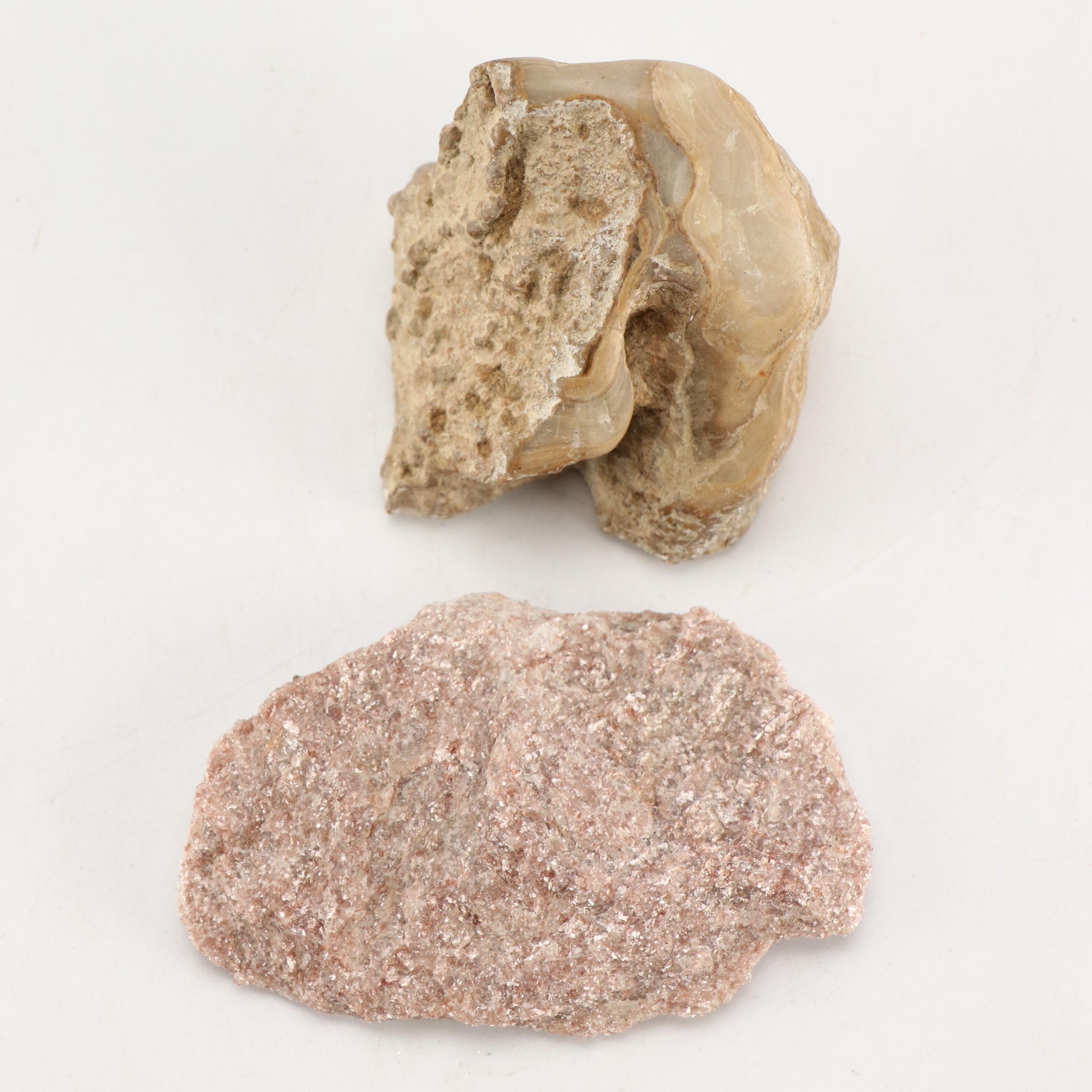 Natural Calcite, Trilobites, Agate and Alurgite Mica