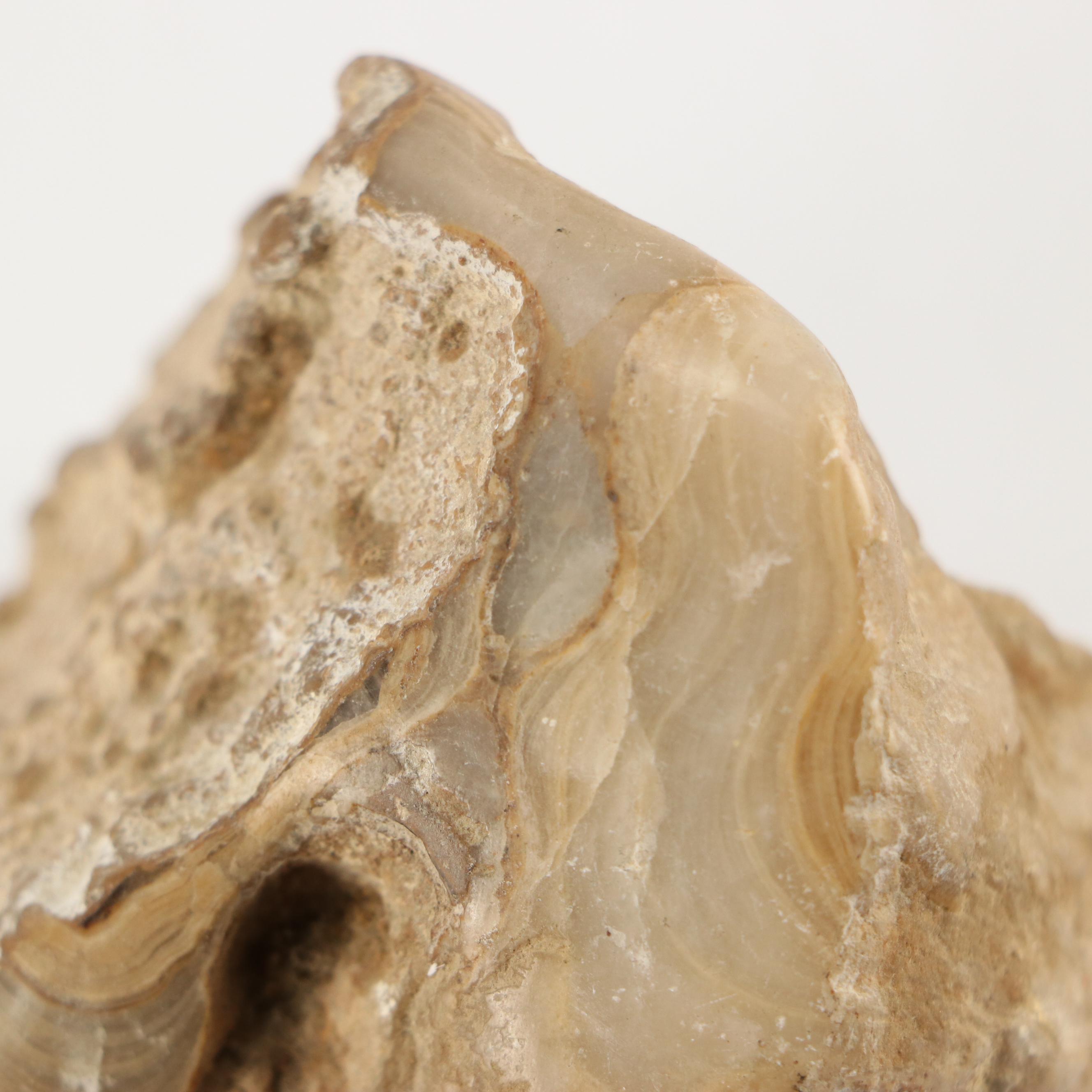 Natural Calcite, Trilobites, Agate and Alurgite Mica