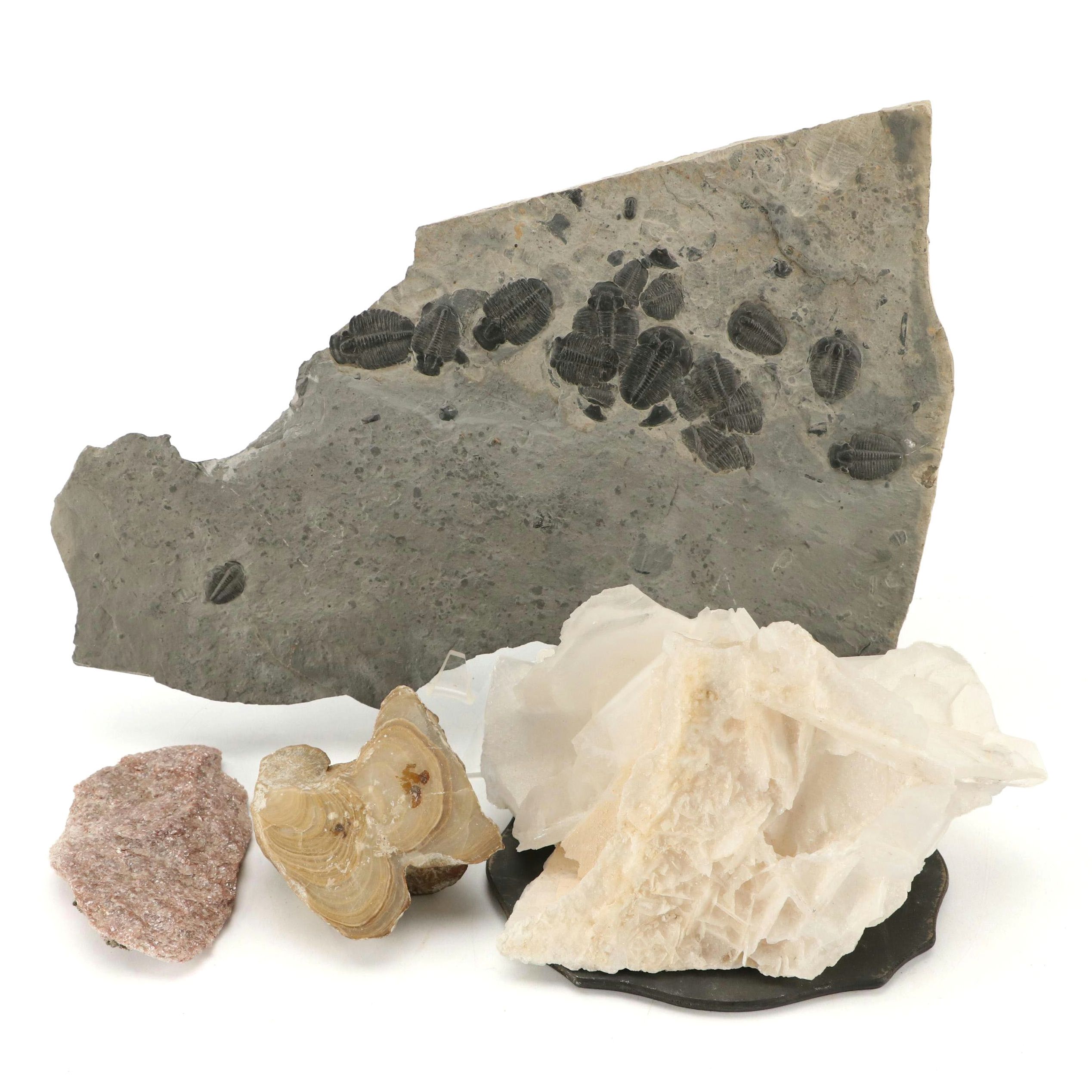 Natural Calcite, Trilobites, Agate and Alurgite Mica