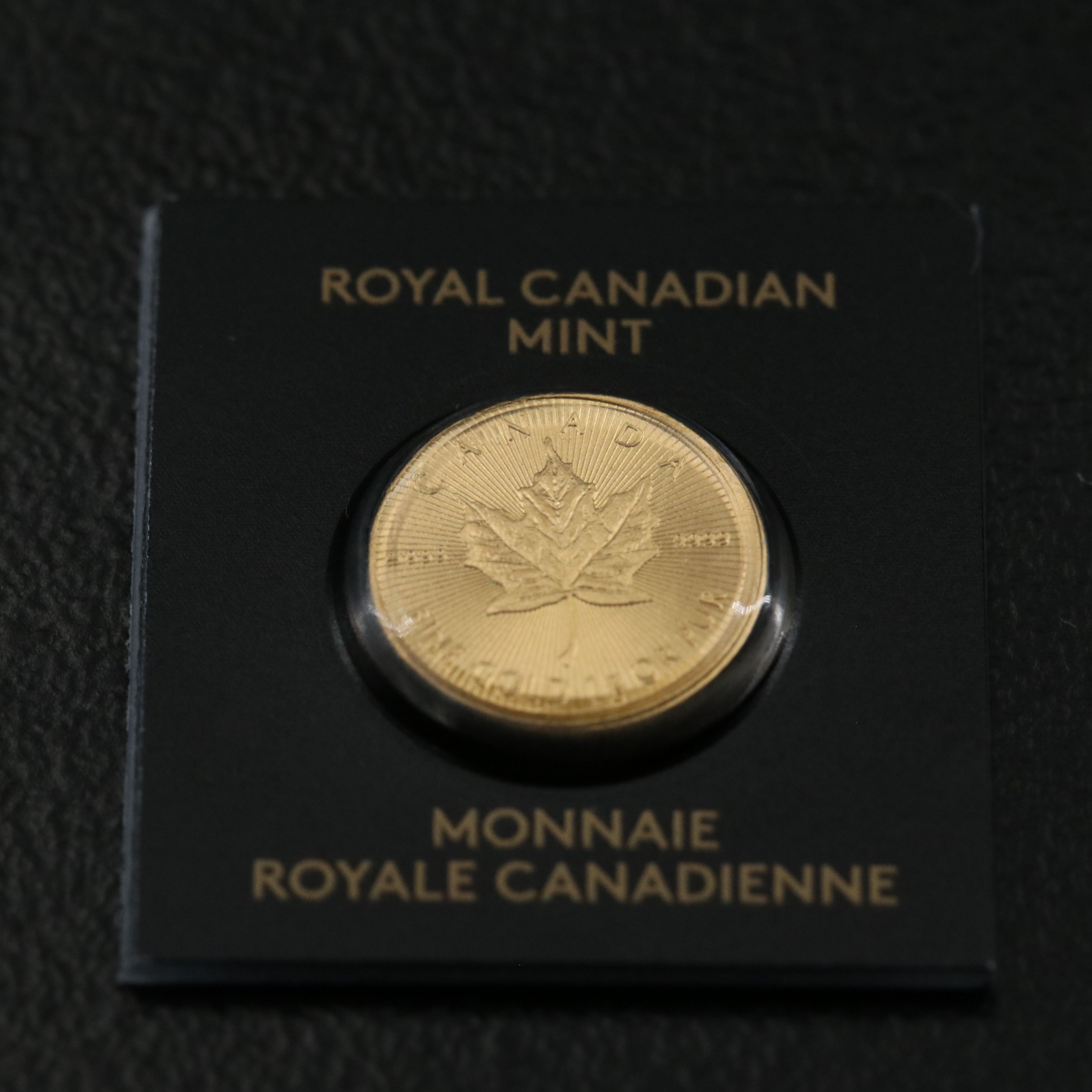 2023 Canada Fifty Cents One Gram Gold Maple Leaf Coin