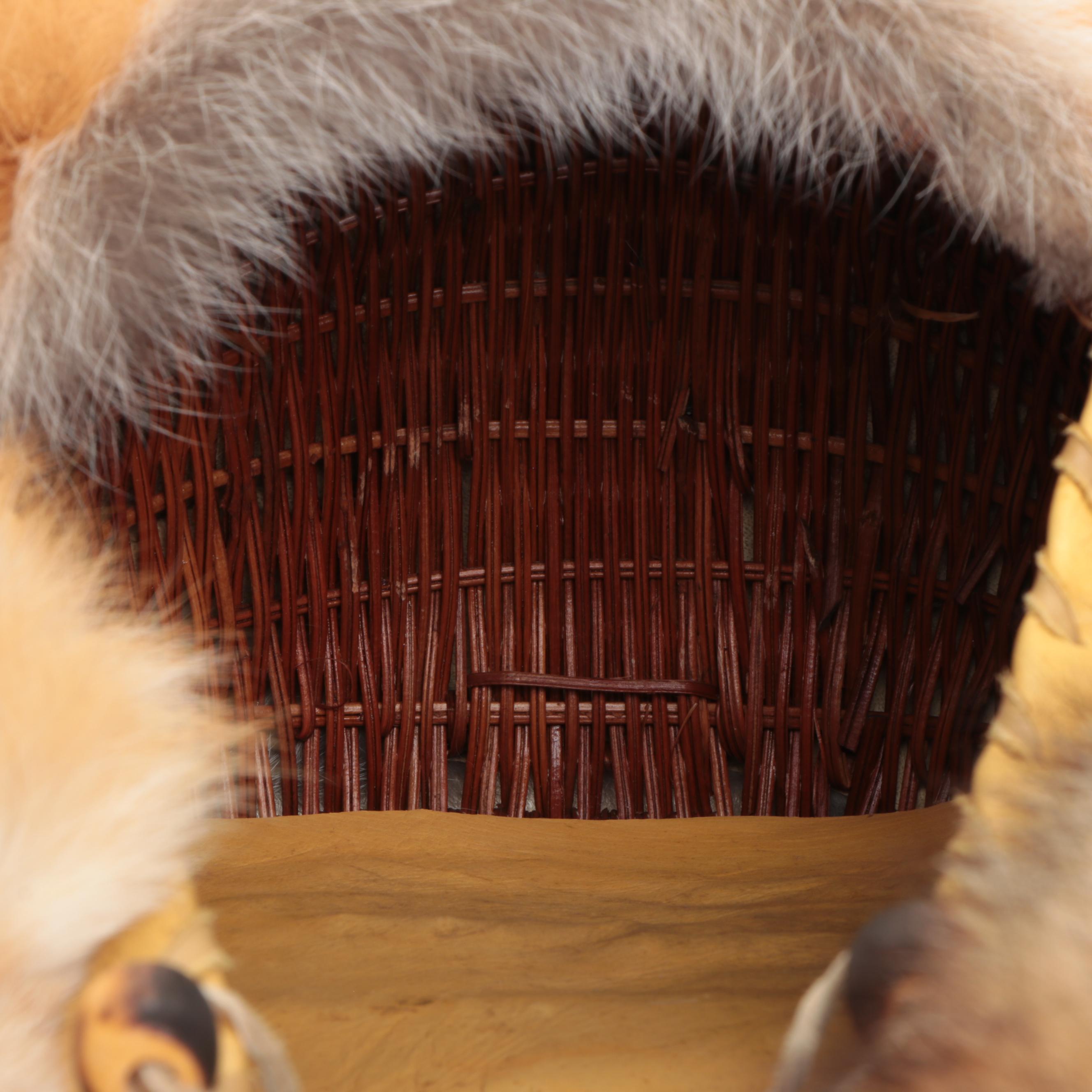 Jicarilla Apache Wood, Deer Hide, and Fox Fur Cradle Board with Feathers