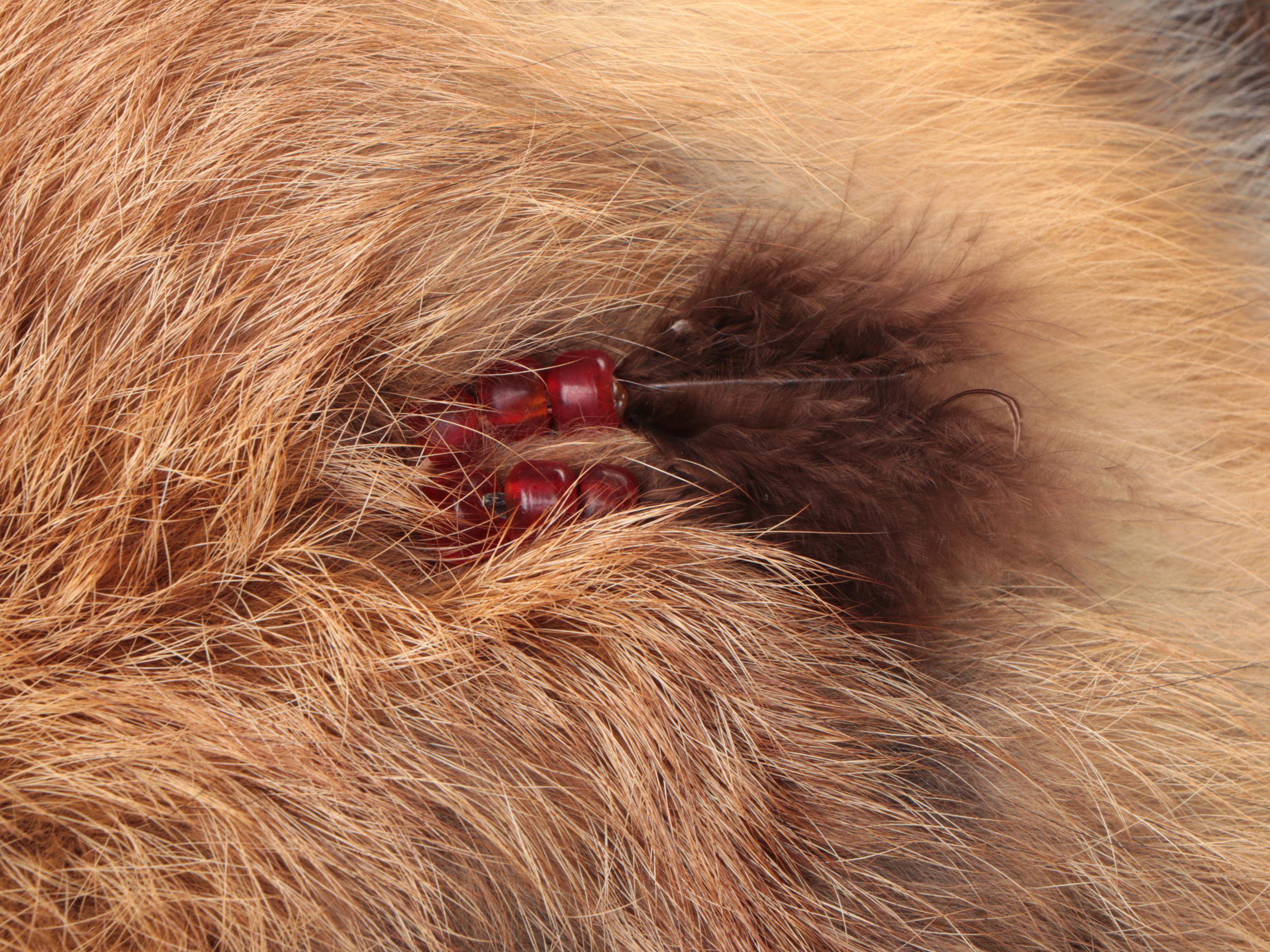 Jicarilla Apache Wood, Deer Hide, and Fox Fur Cradle Board with Feathers