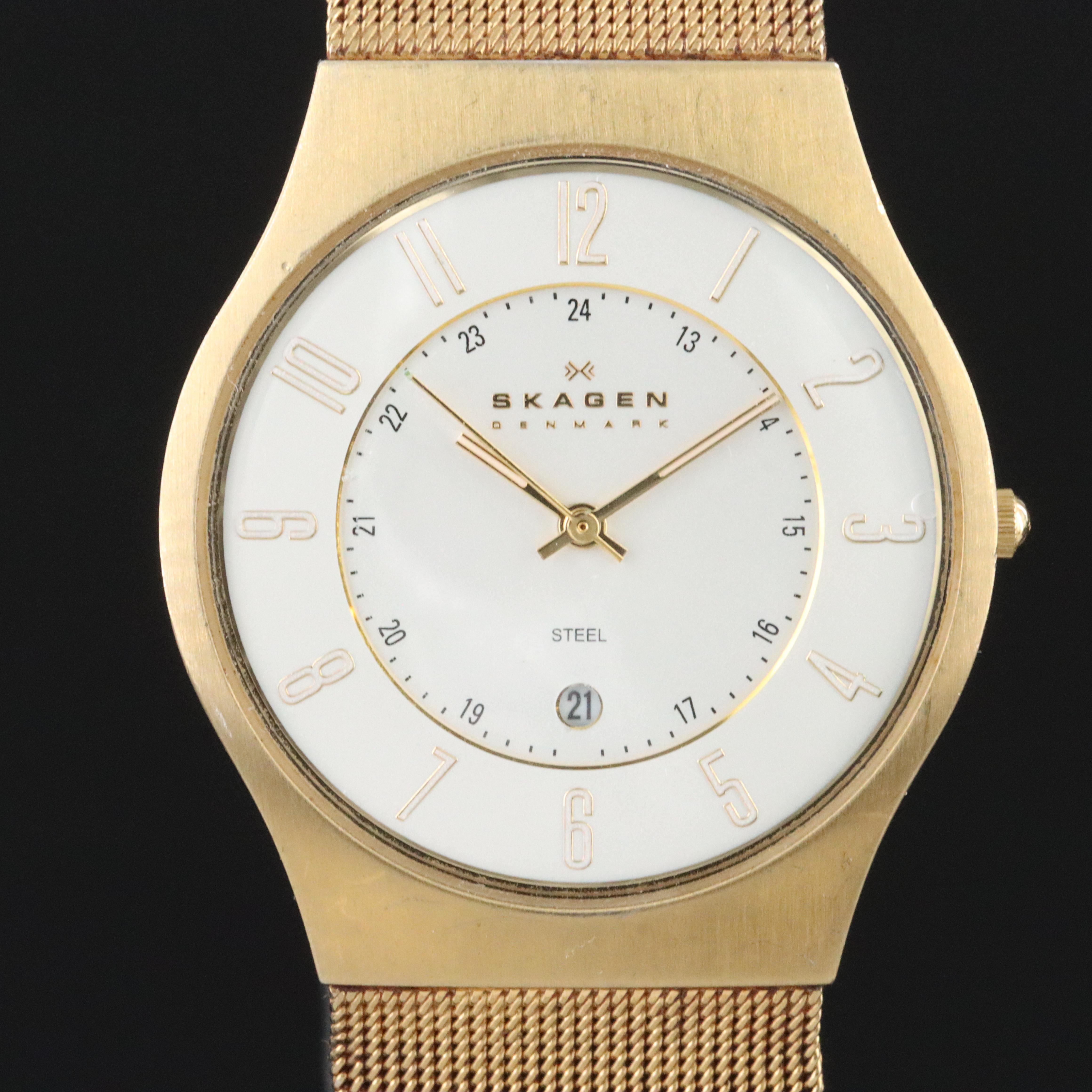 Skagen Denmark Steel Date Watch